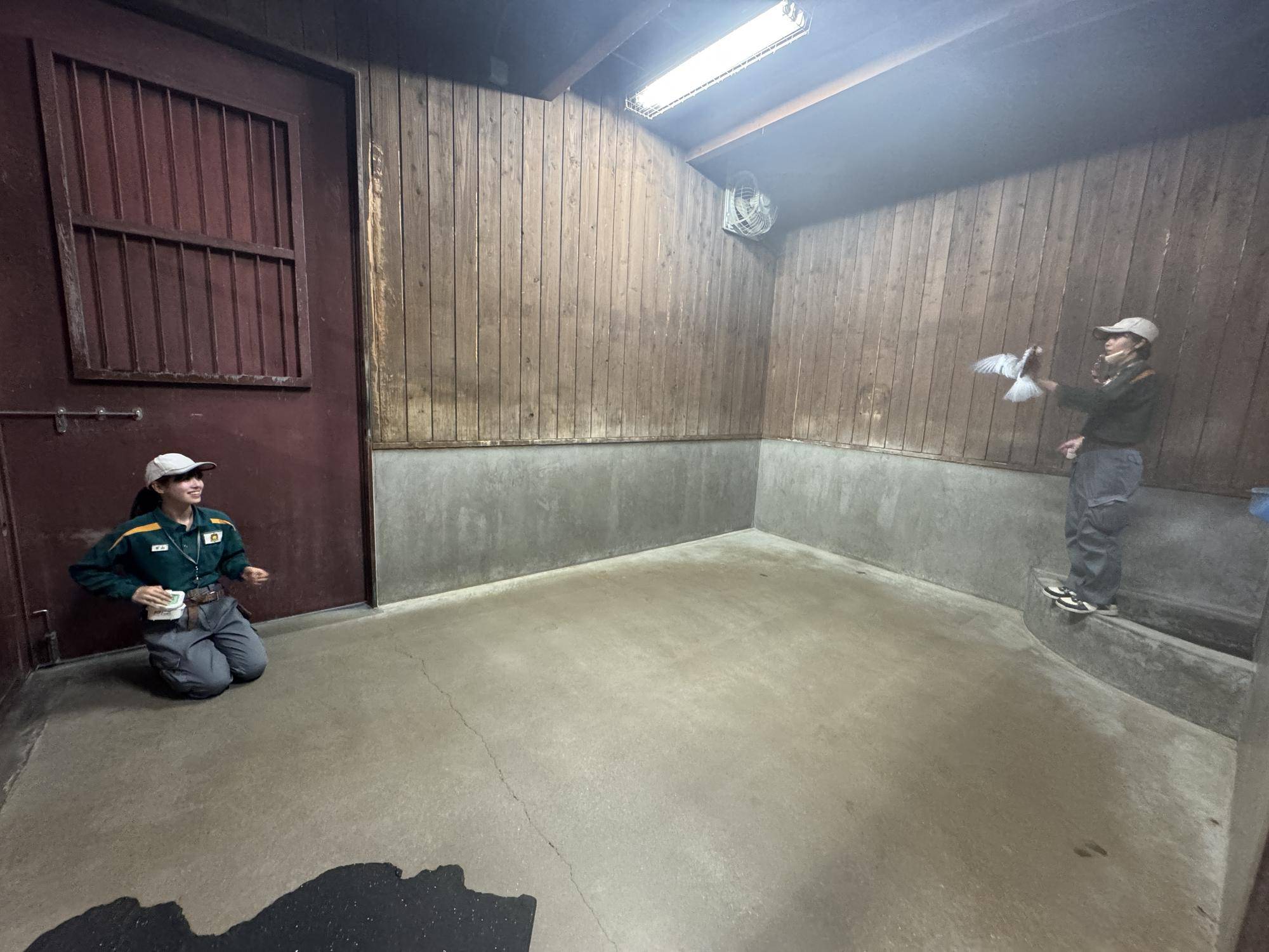 【アフリカサバンナ】ナツメとピーチの近況報告5