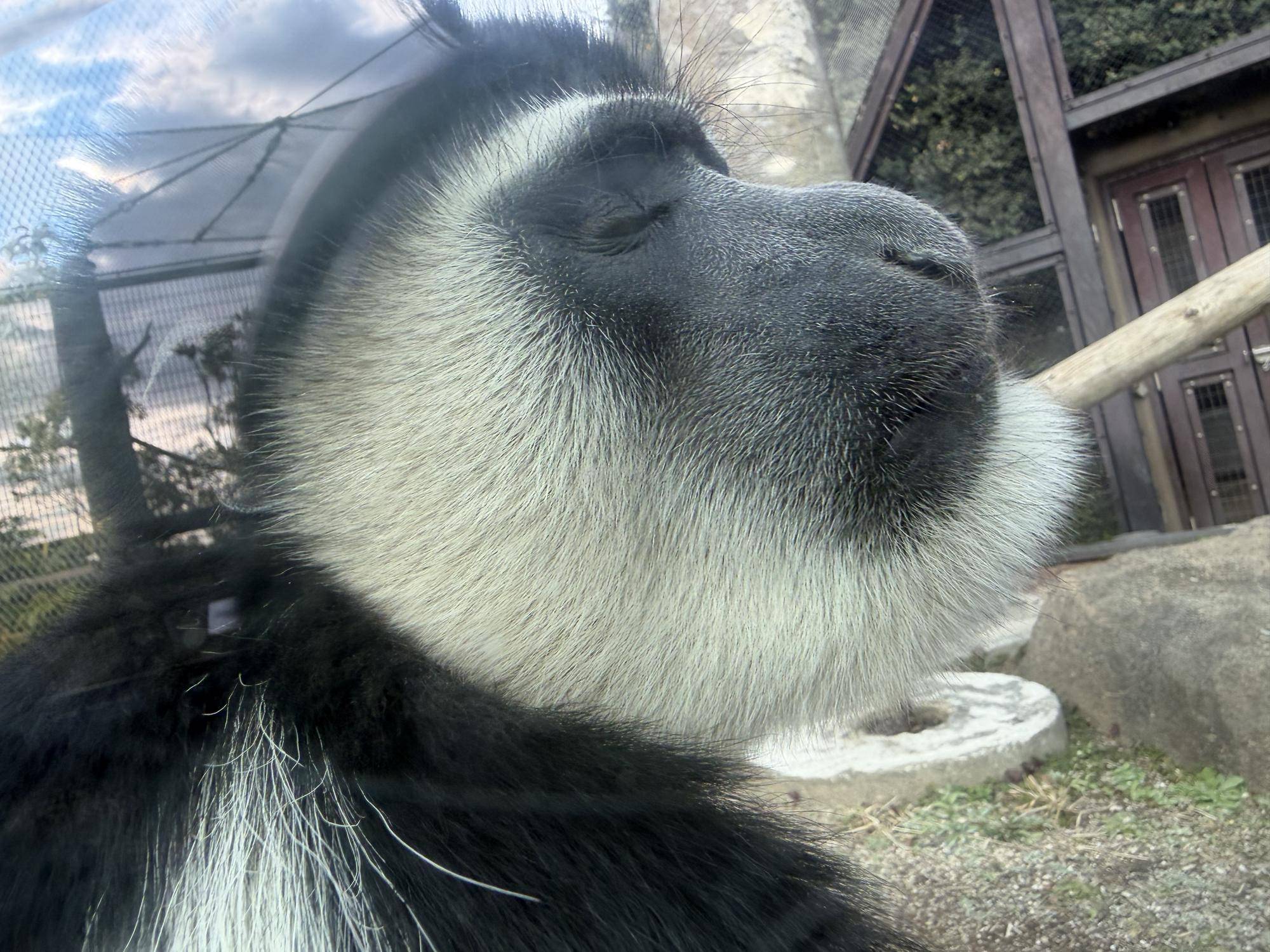 ジュアの横顔.jpg