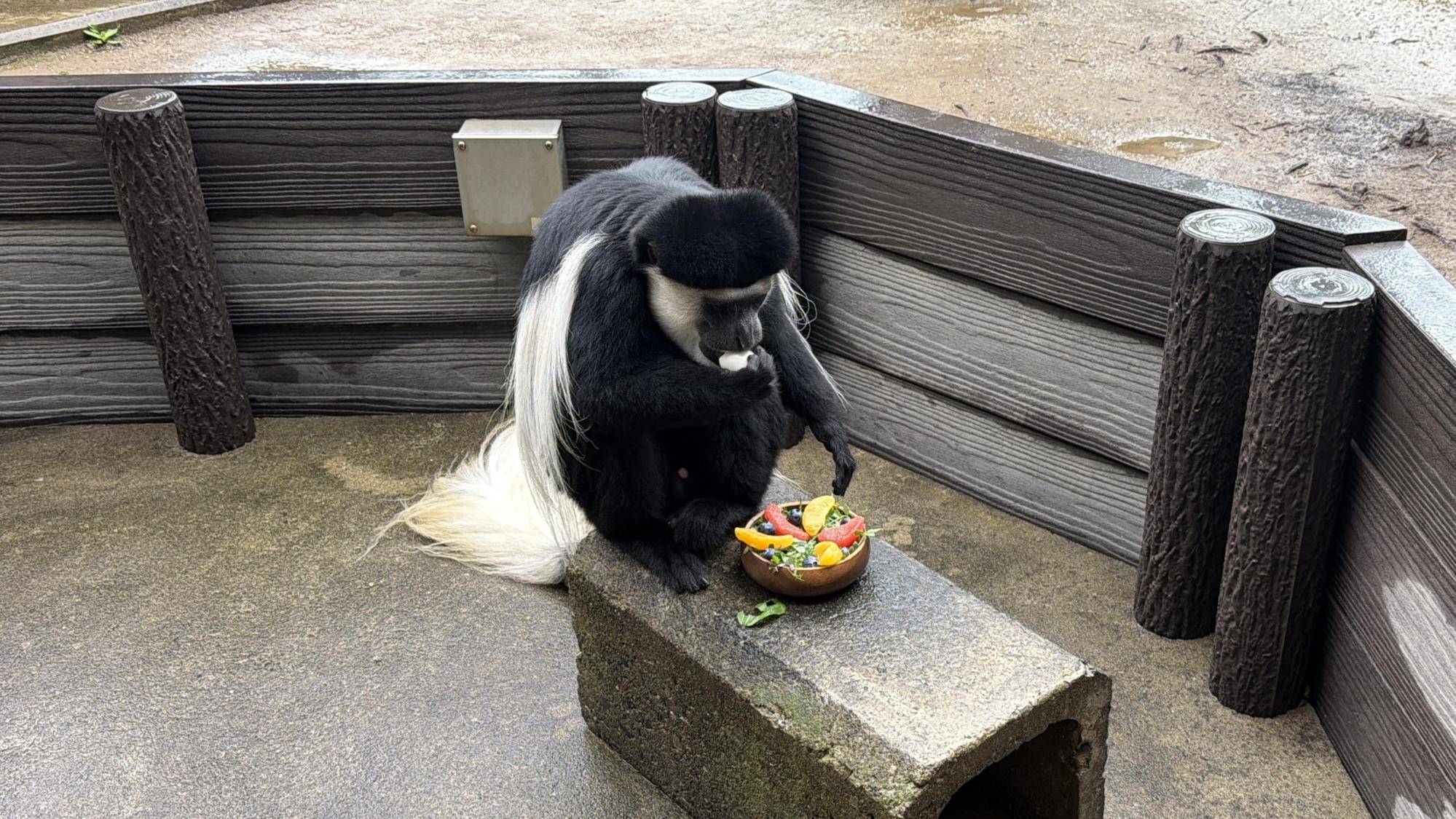 特製プレートを食べるジュア.jpeg