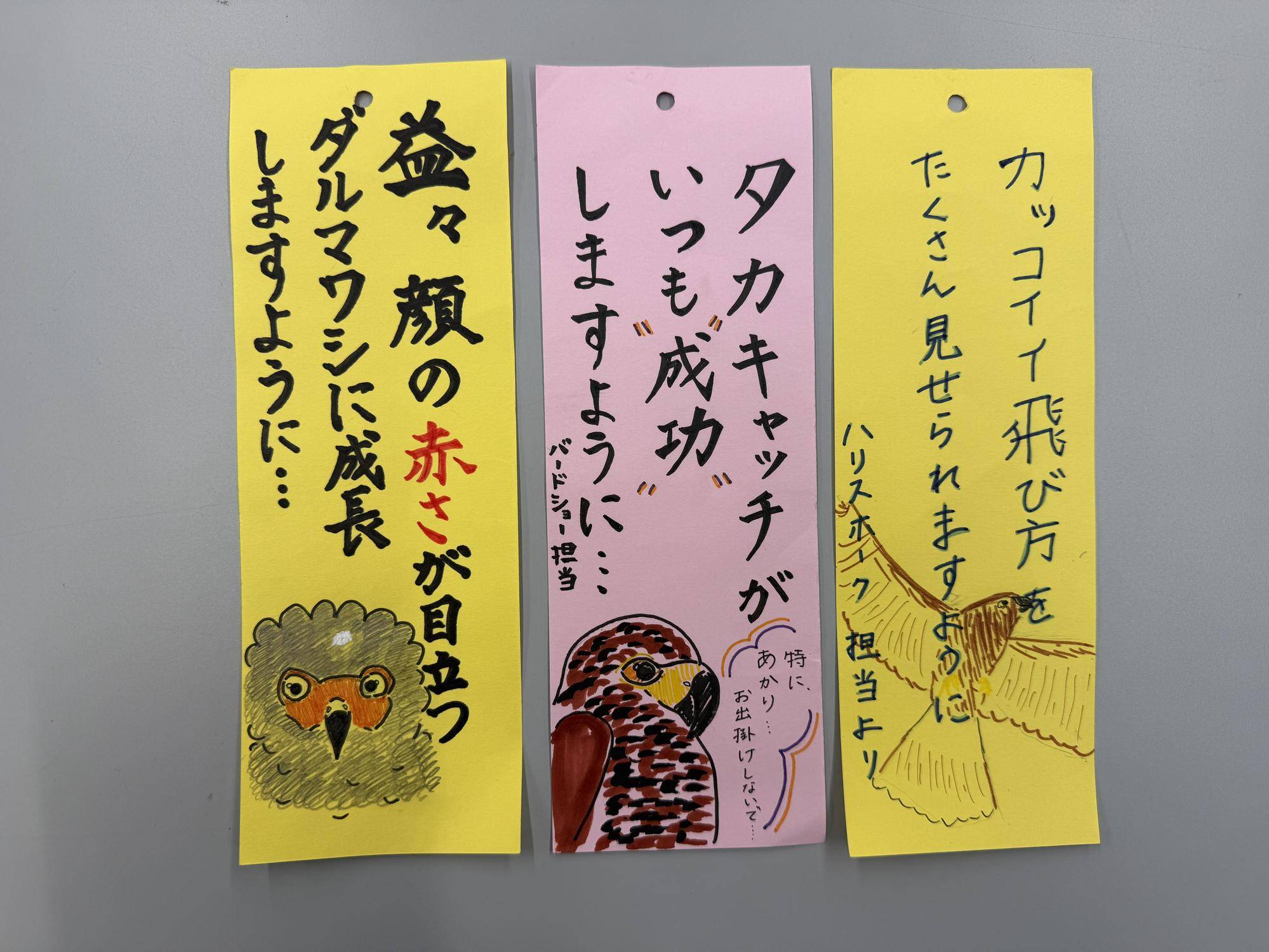 鳥たちに願いを込めて～猛禽編～⑤.jpg