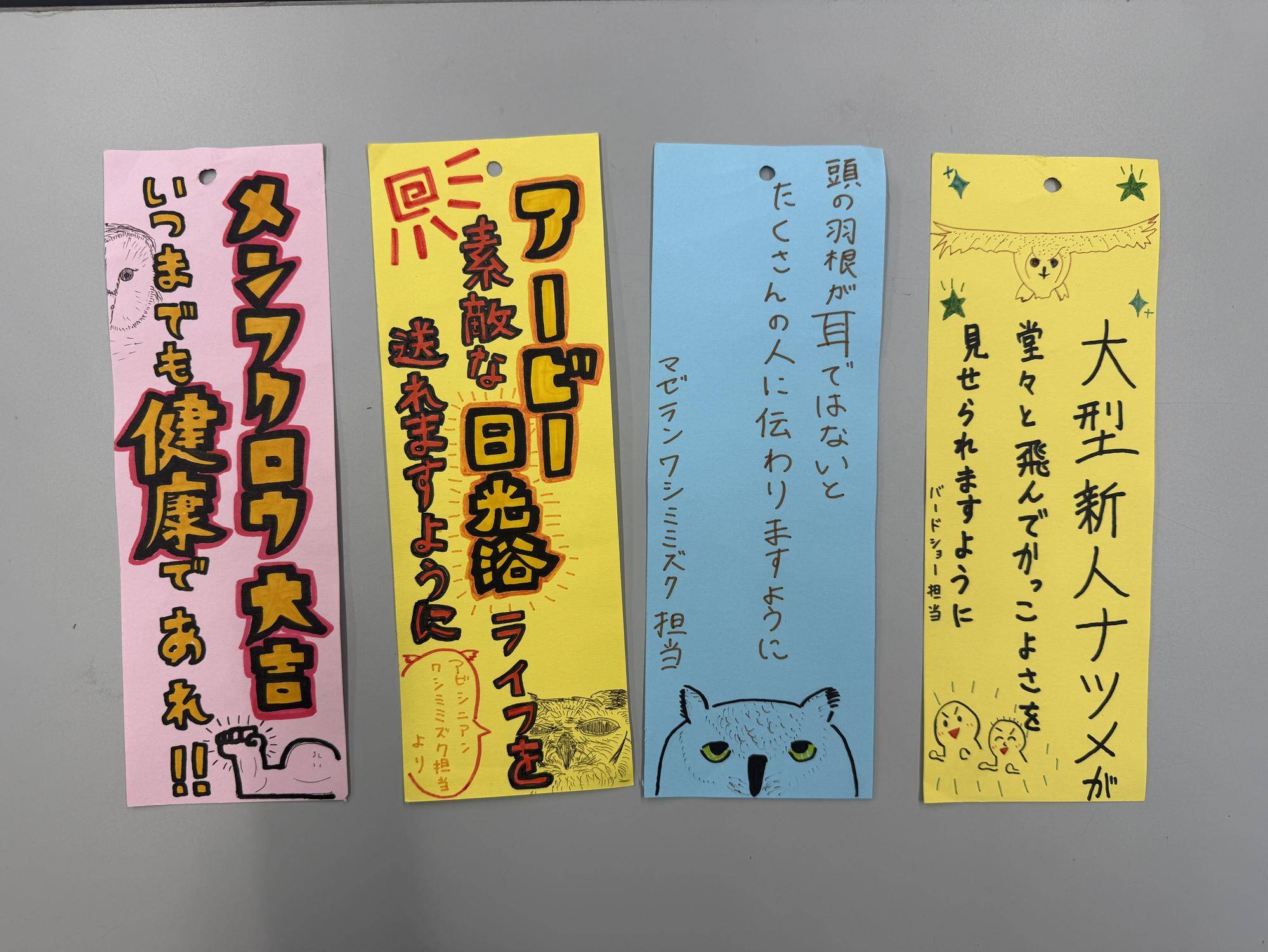 鳥たちに願いを込めて~猛禽編~③.jpg