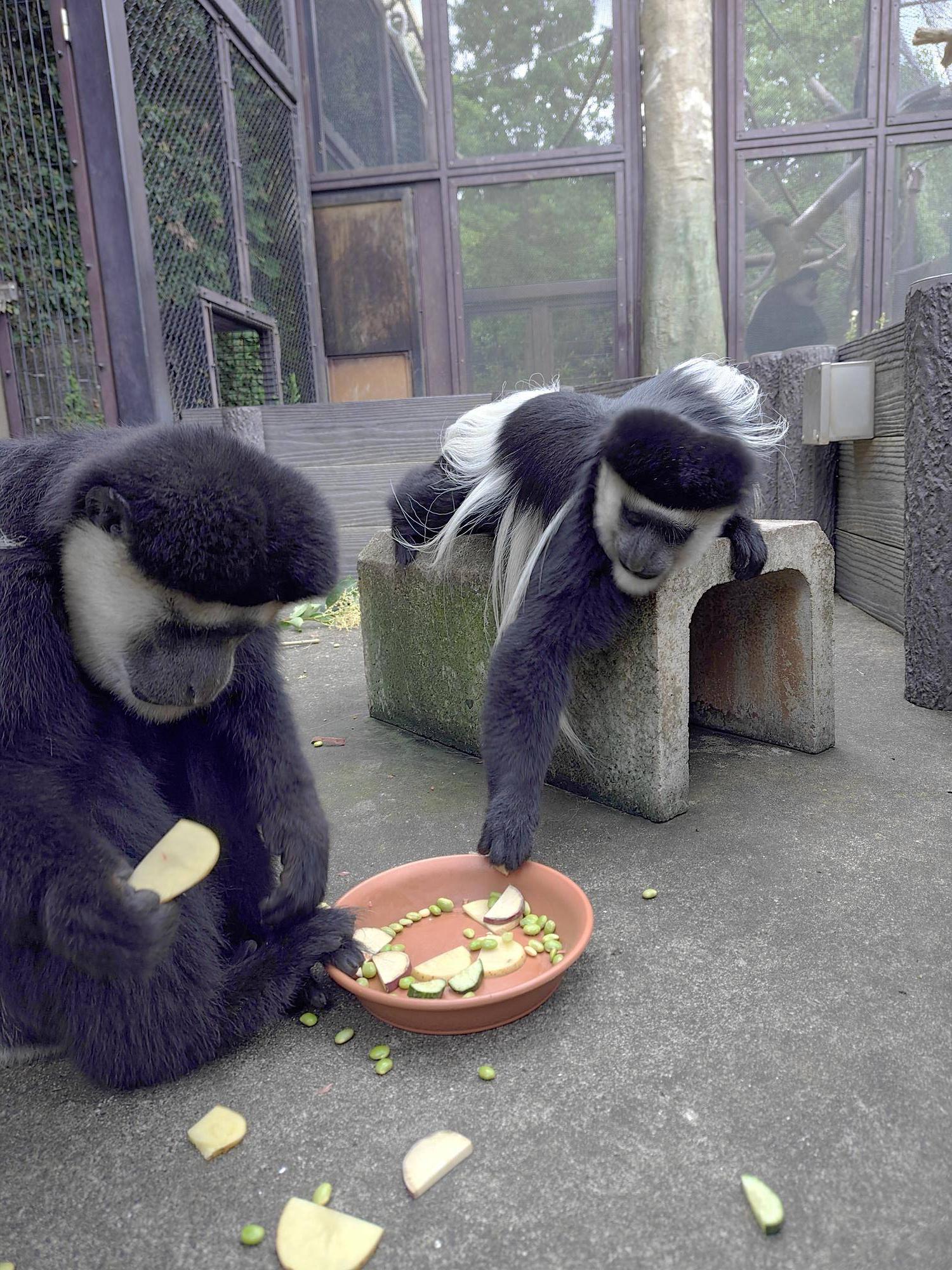 一緒に特製プレートを食べるルカとダダチャ.jpg