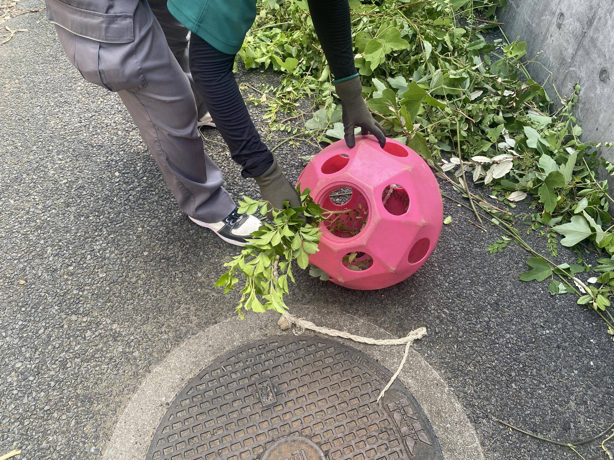 ボールに葉を詰めている様子.jpg