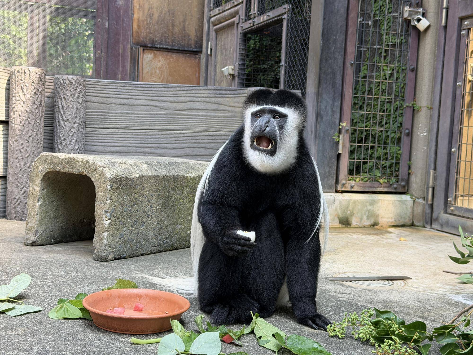 ゆで卵を食べるチェカ.jpg