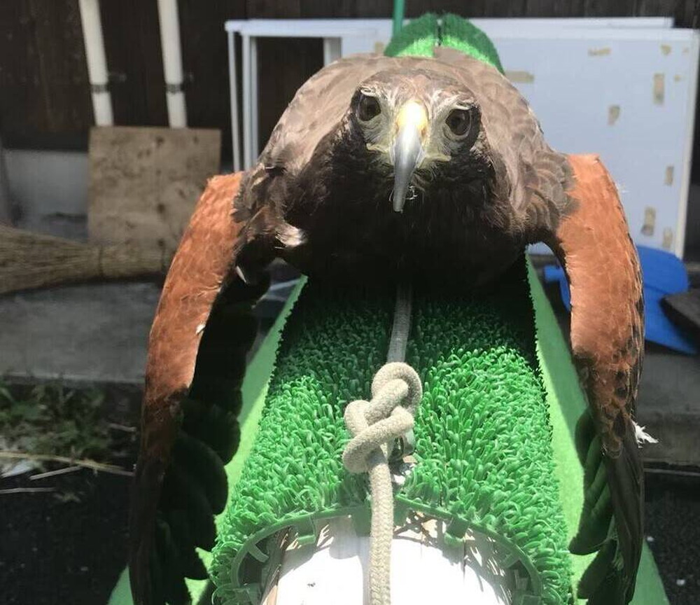 あかり正面 (1).jpg