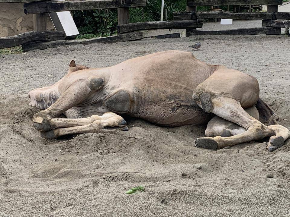 座りだこ4 (2).jpg