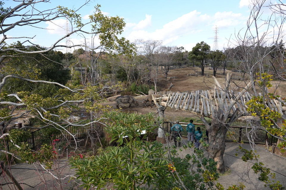 サバンナブログ サイ同居③.jpg