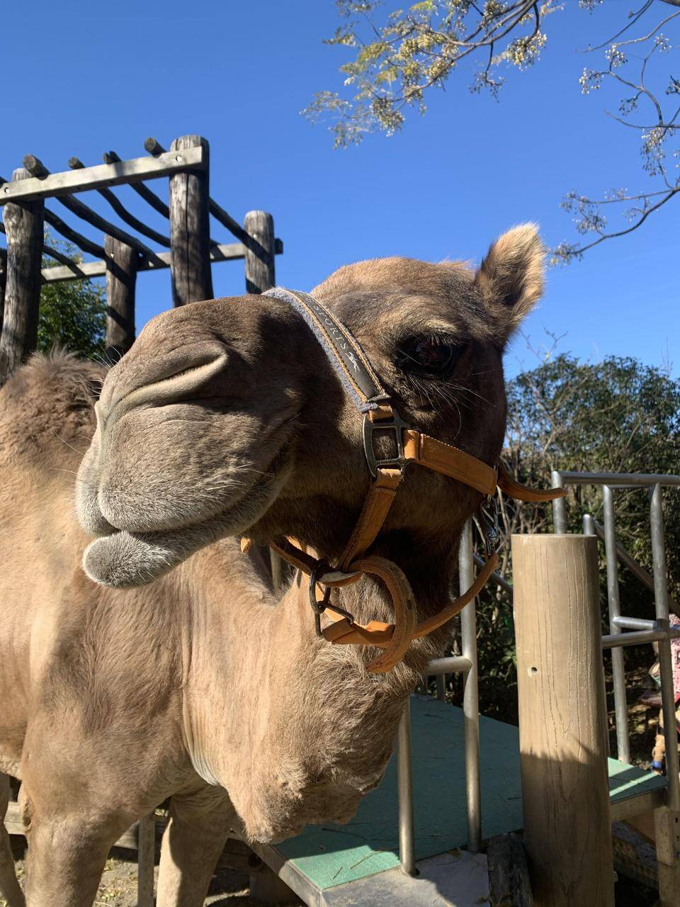 2021、新年あけましておめでとうございます。1