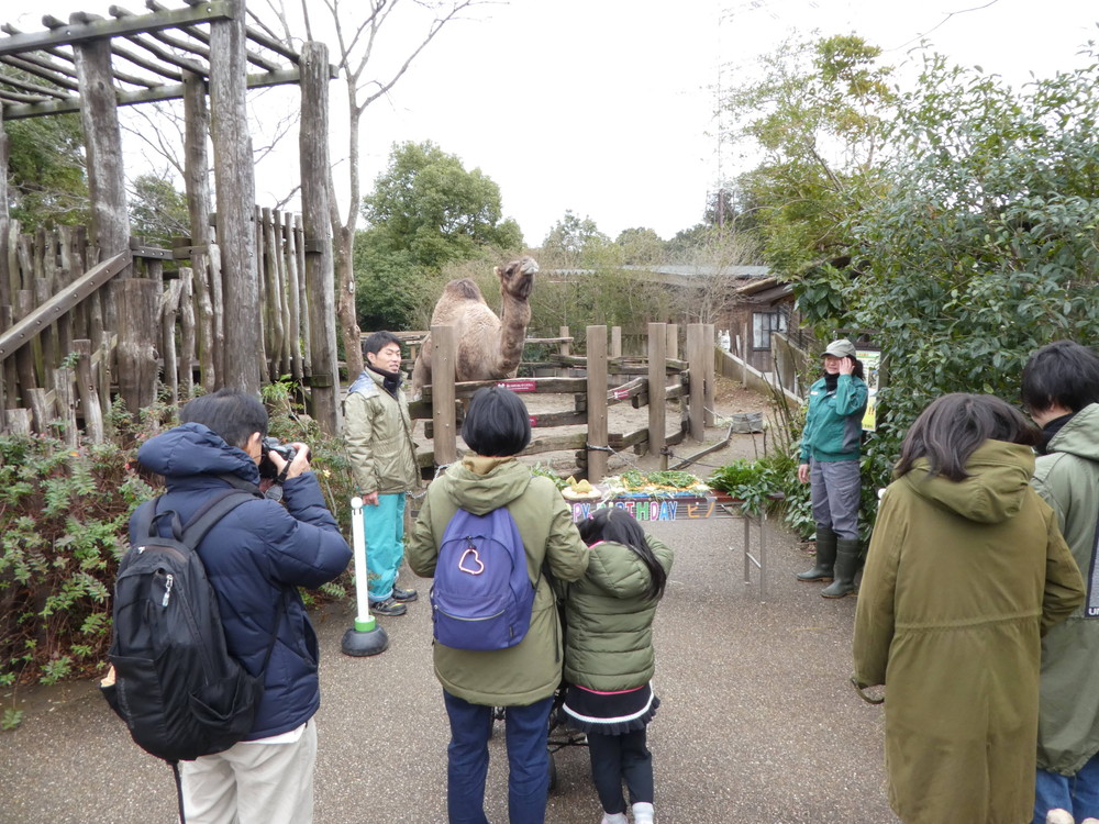20202【サバンナブログ】ピノ誕生日会①