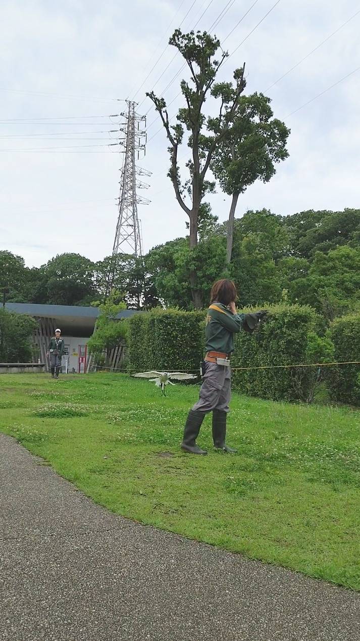 ウラル トレーニング中.jpg