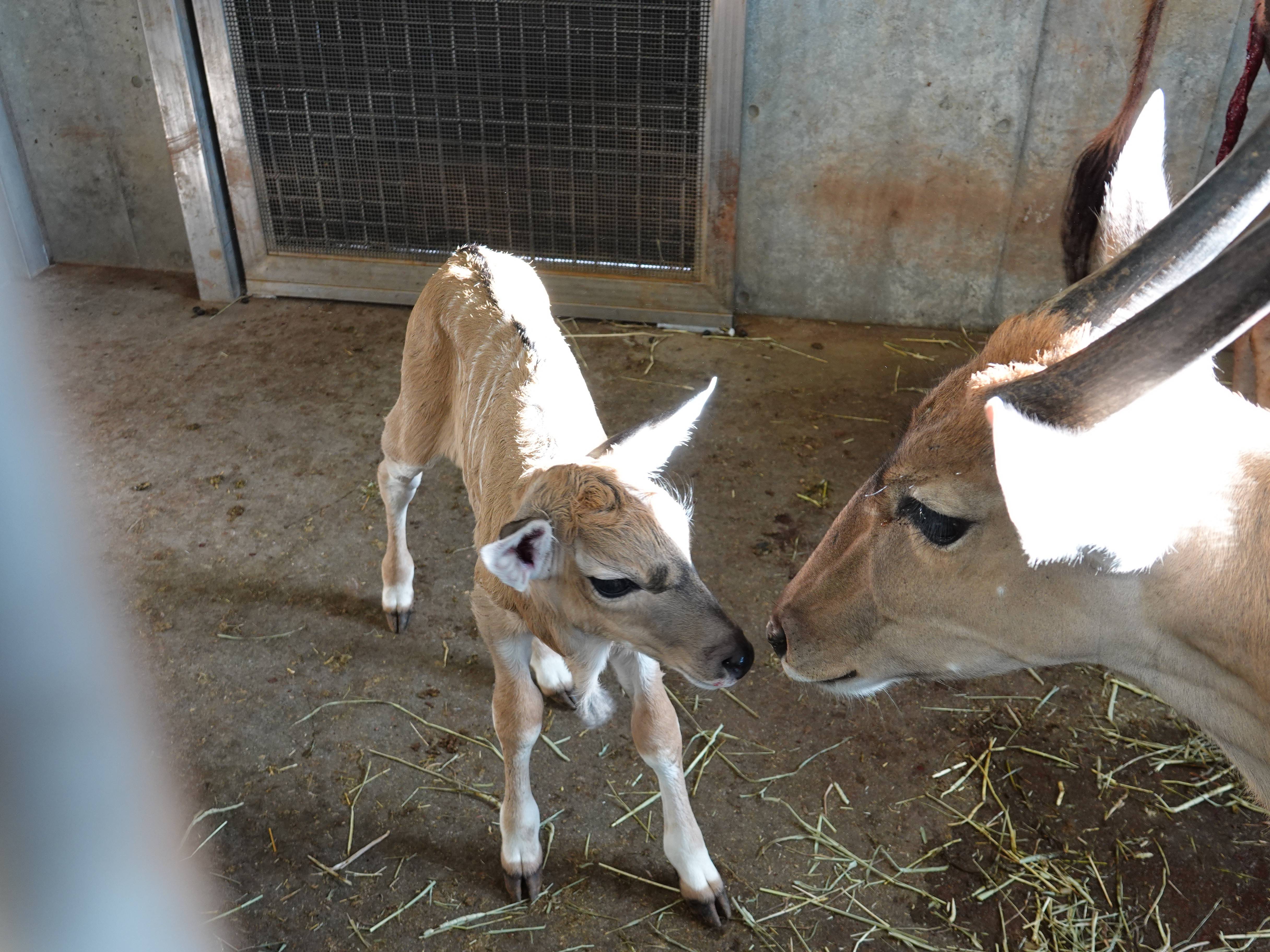 カルモ 1日目2.jpg