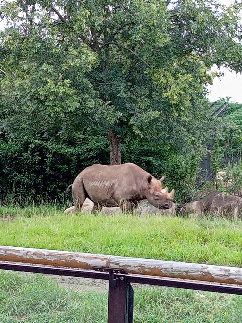 2021.09.06 AKILI.jpg