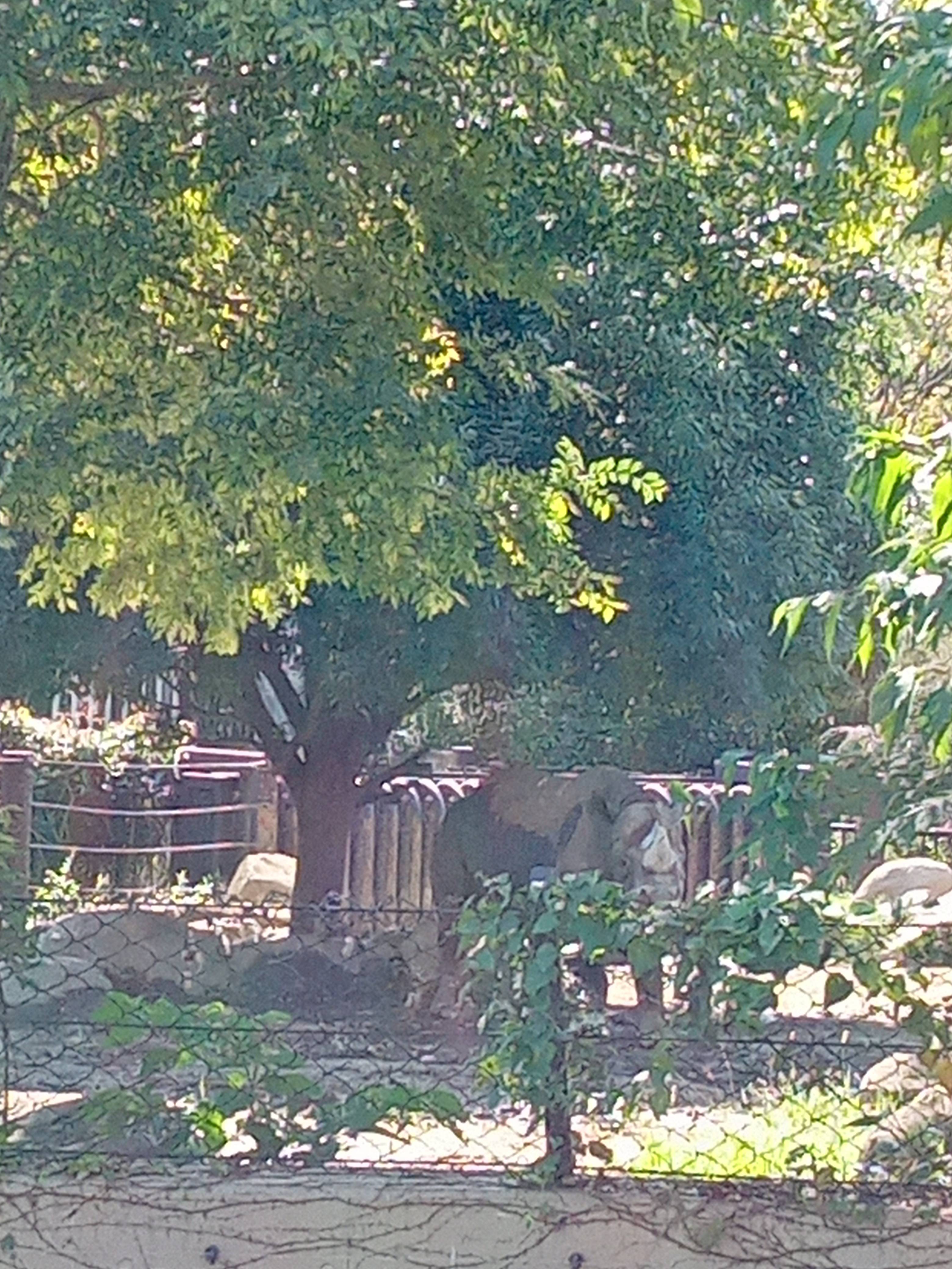 2021.10.04 AKILI.jpg