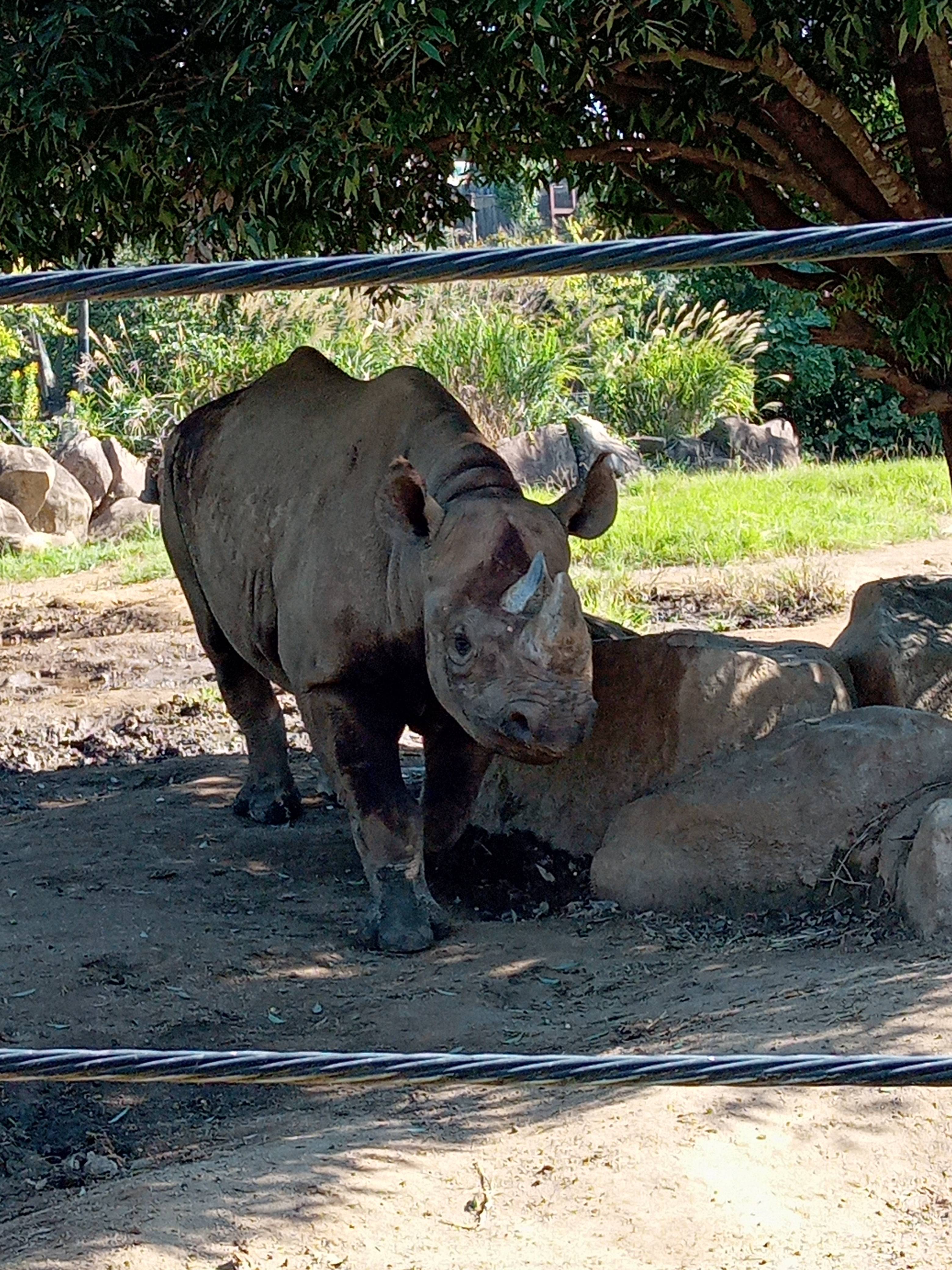 2021.10.08 AKILI.jpg