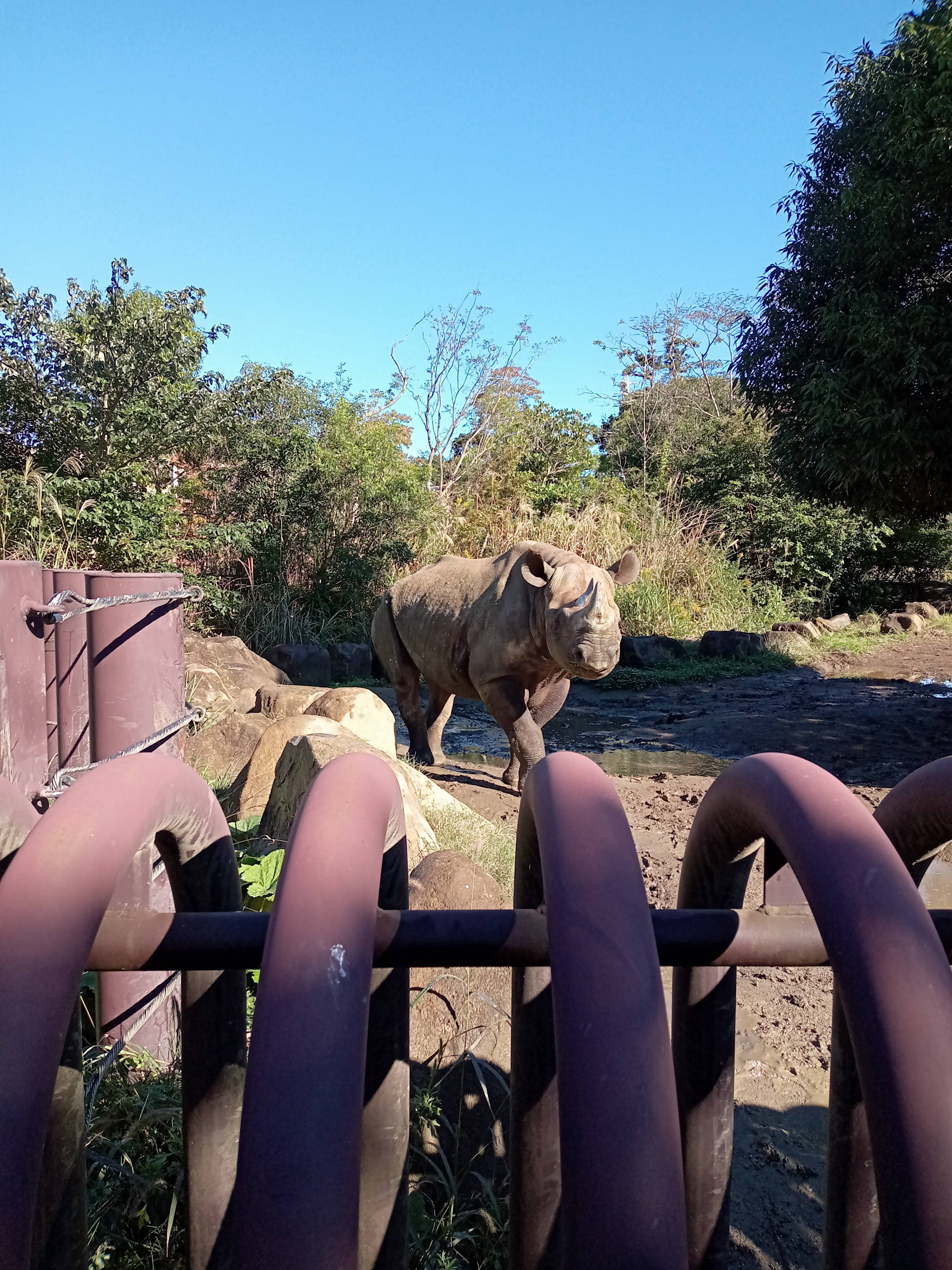 2021.10.23 AKILI.jpg