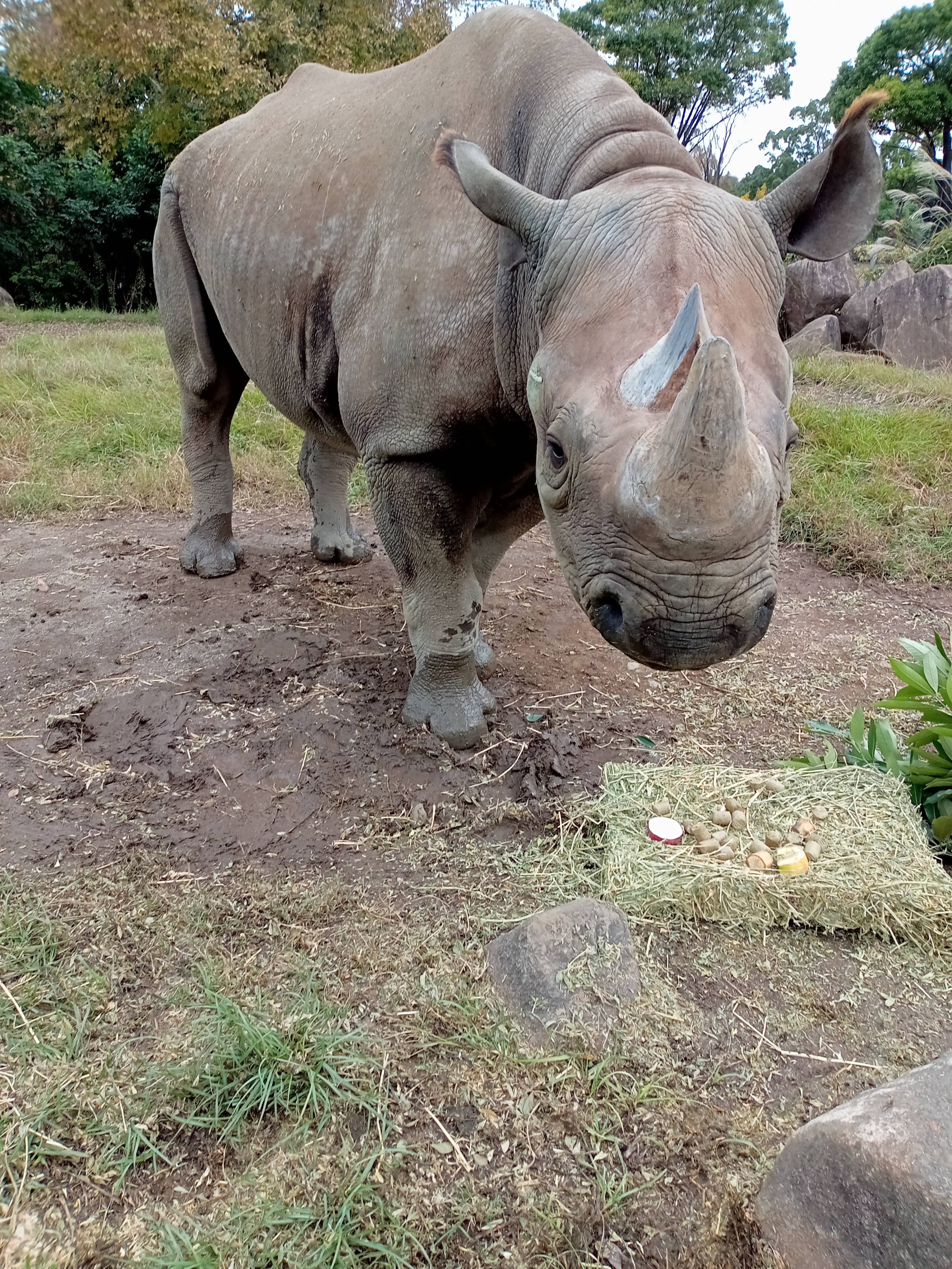 2021.10.27 akili.jpg