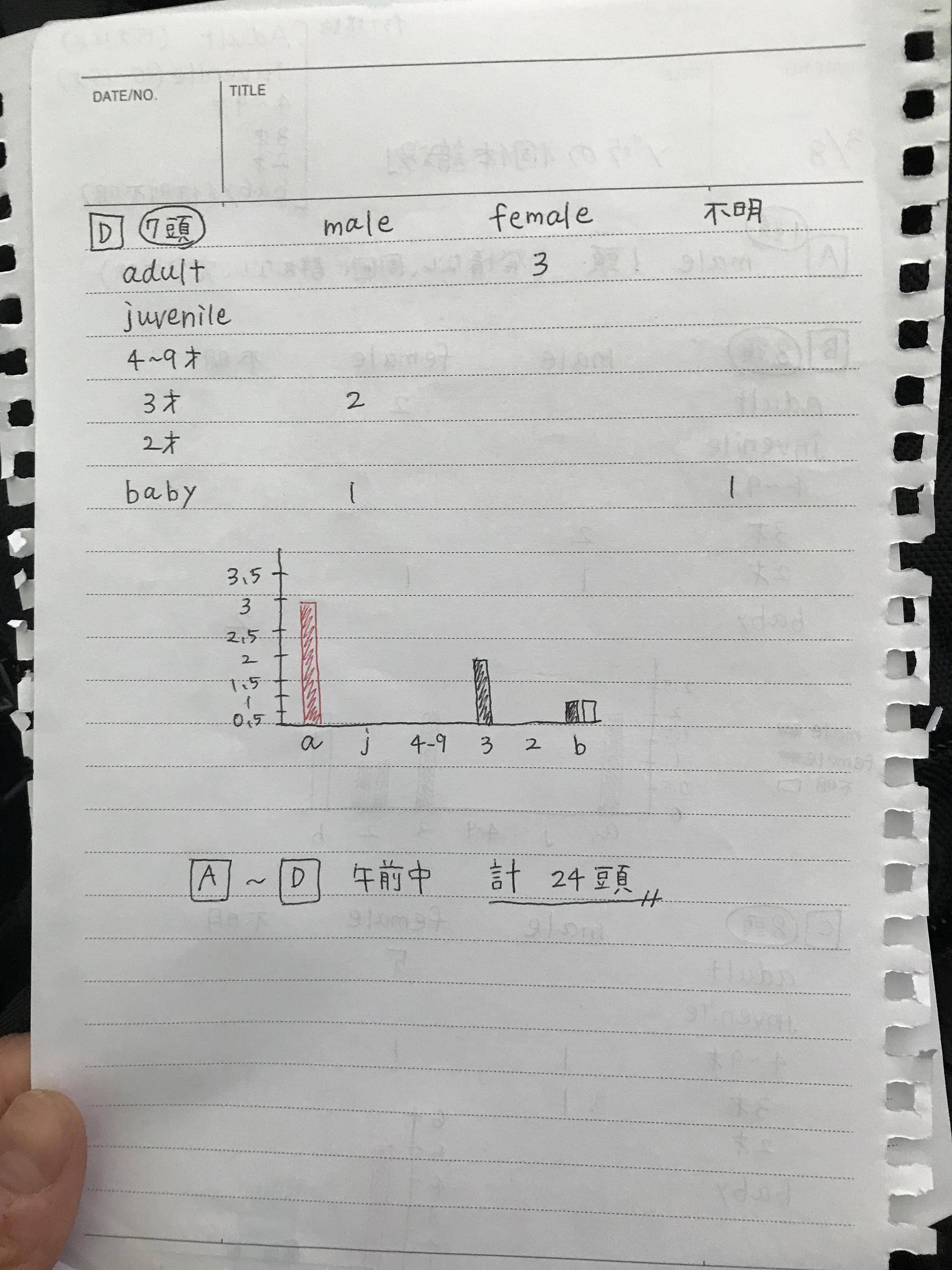 個体識別観察結果②.jpg