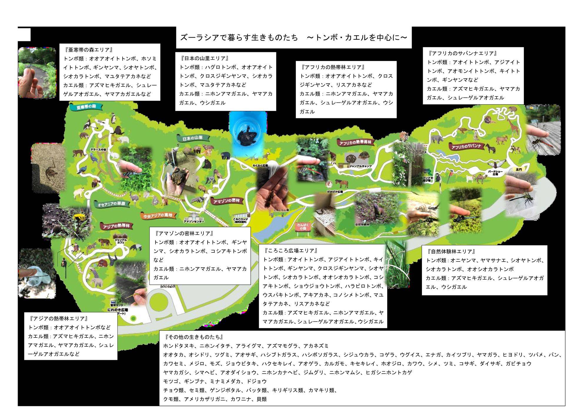 ズーラシアで暮らす生きものたち.jpeg
