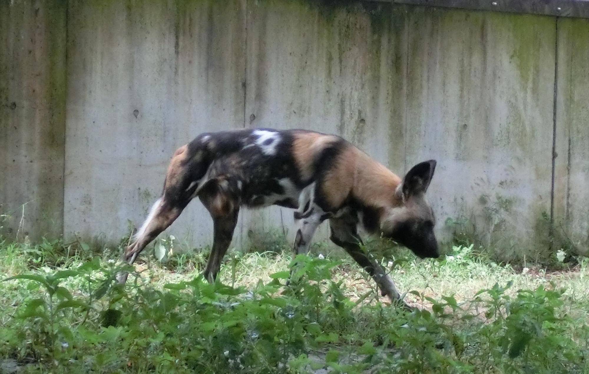 サボ安らかに1 体右側.jpg