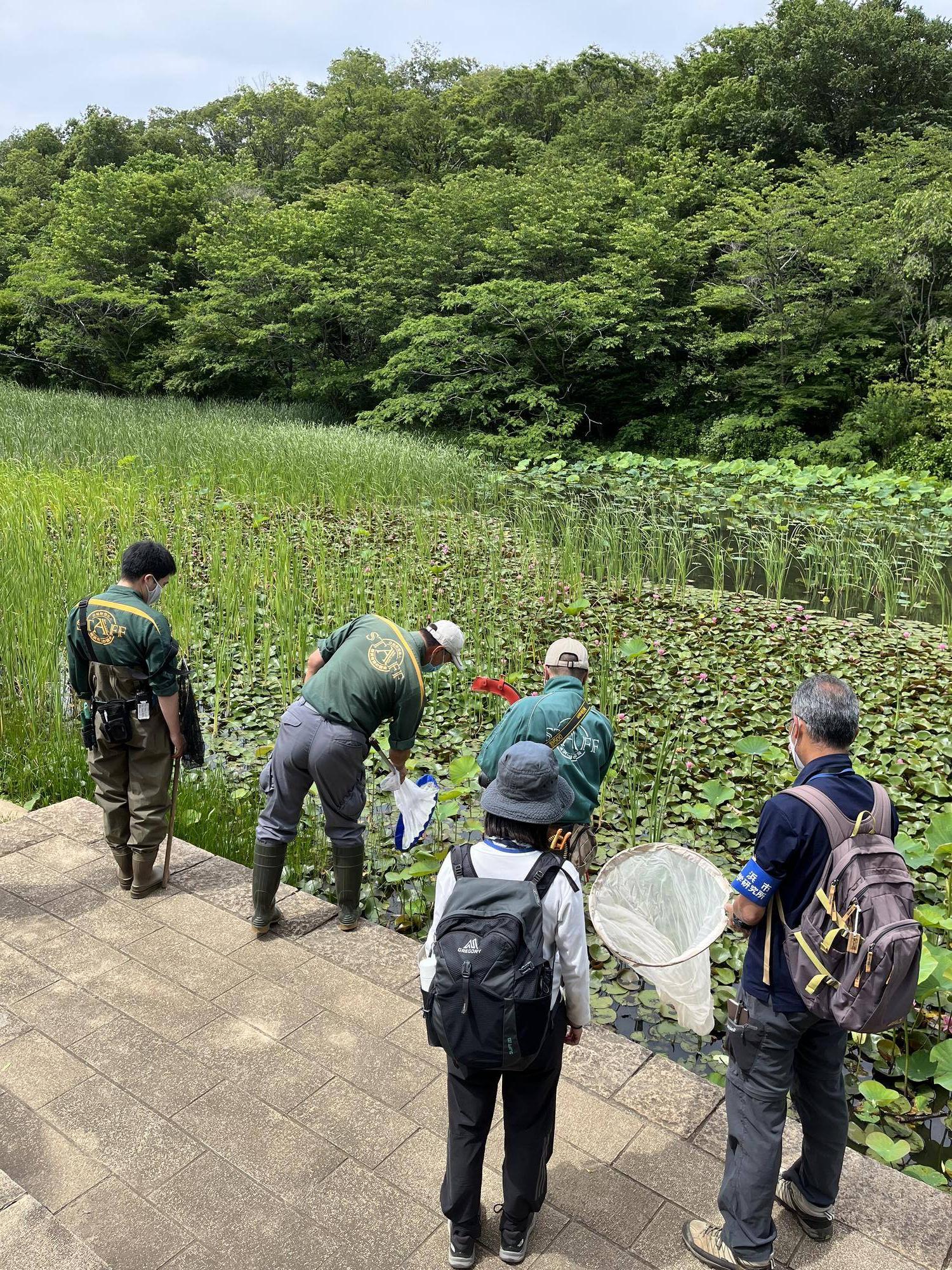 定期調査 (1).jpg