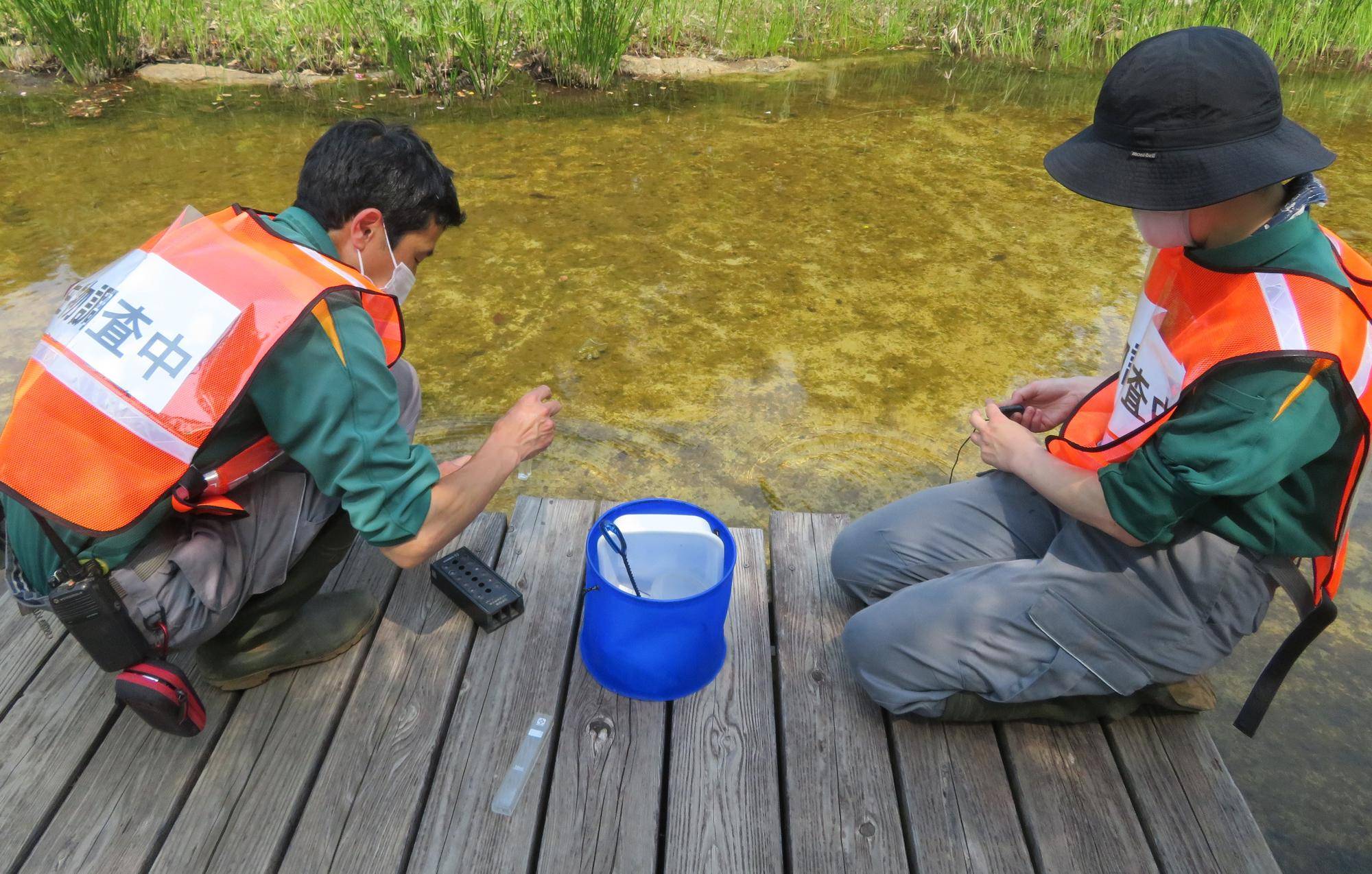 定期調査 (2).jpg