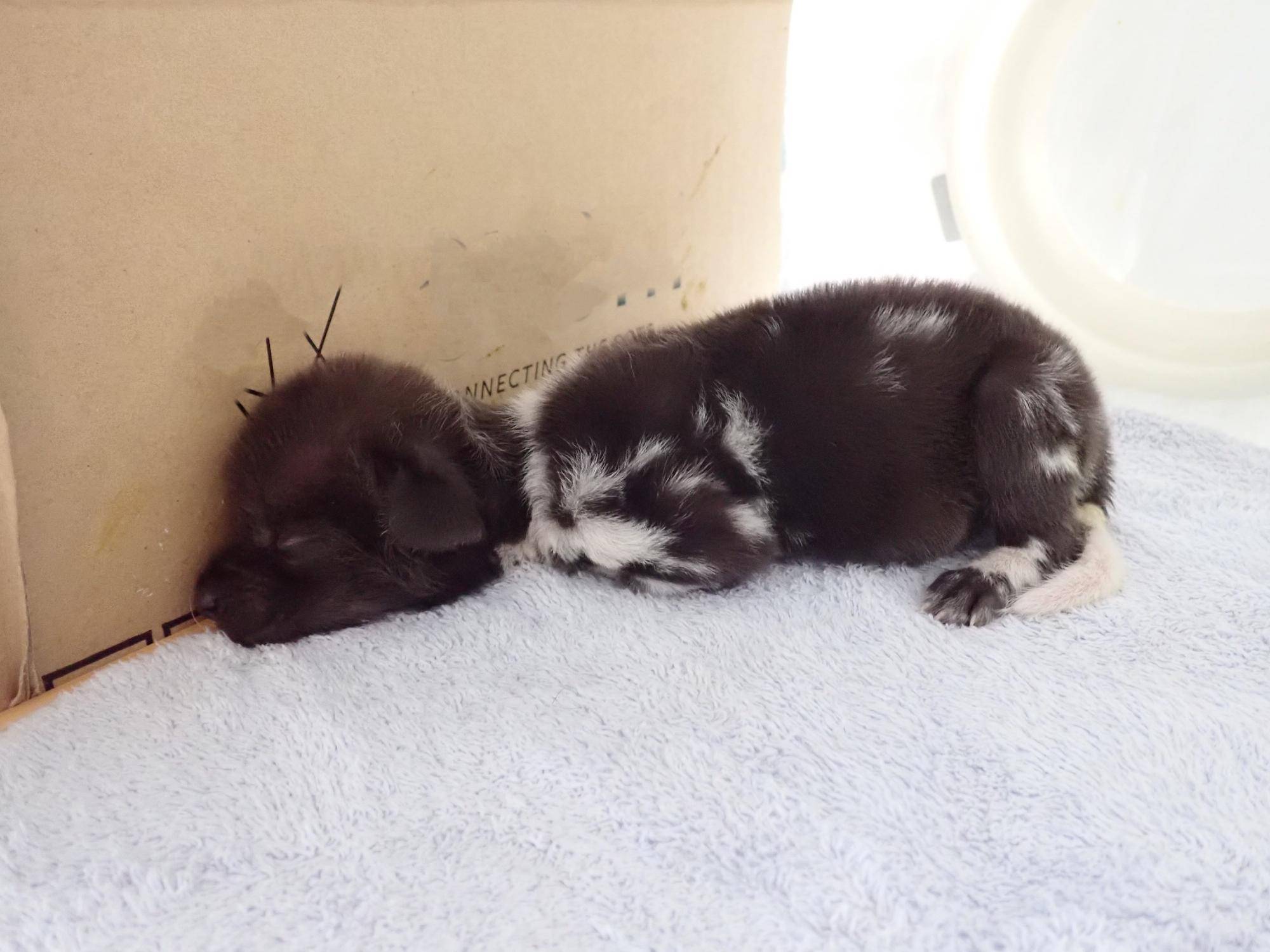 白 (2)12月28日 文字けし.jpg