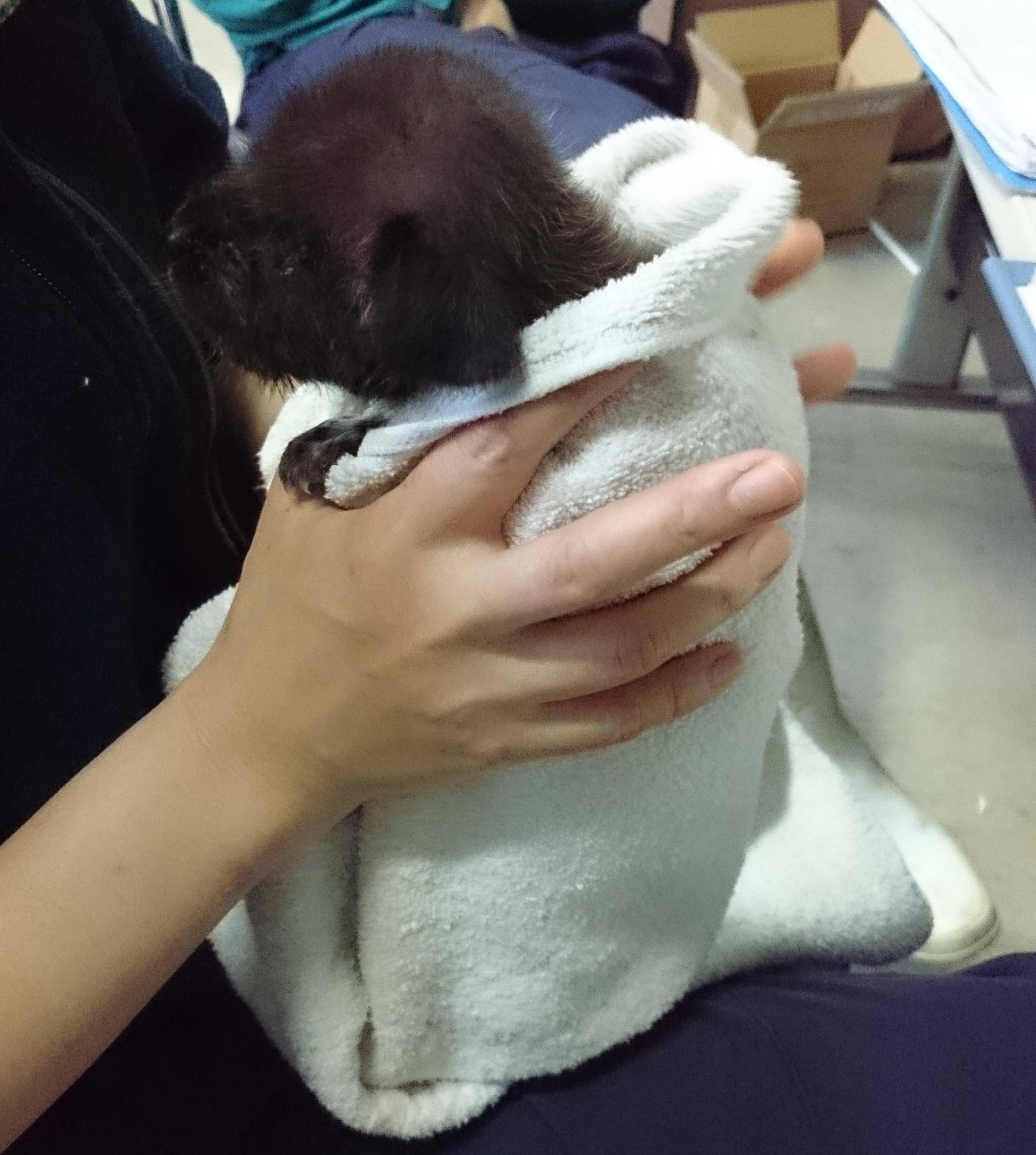 DSC_0041 - 1月7日げっぷ.jpg