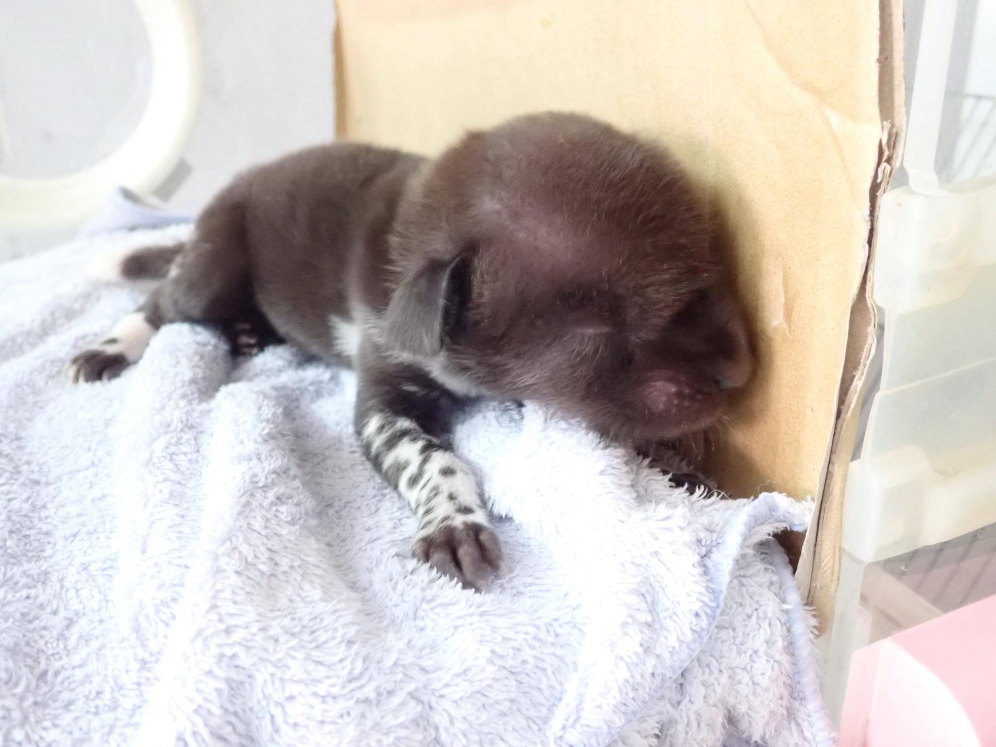 黒 (2)12月28日.jpg