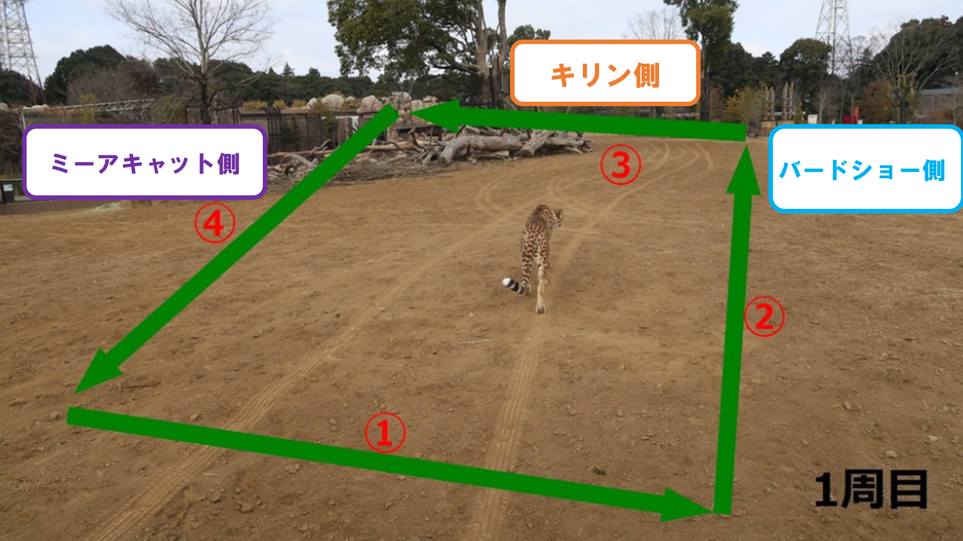 スクリーンショット (61).png