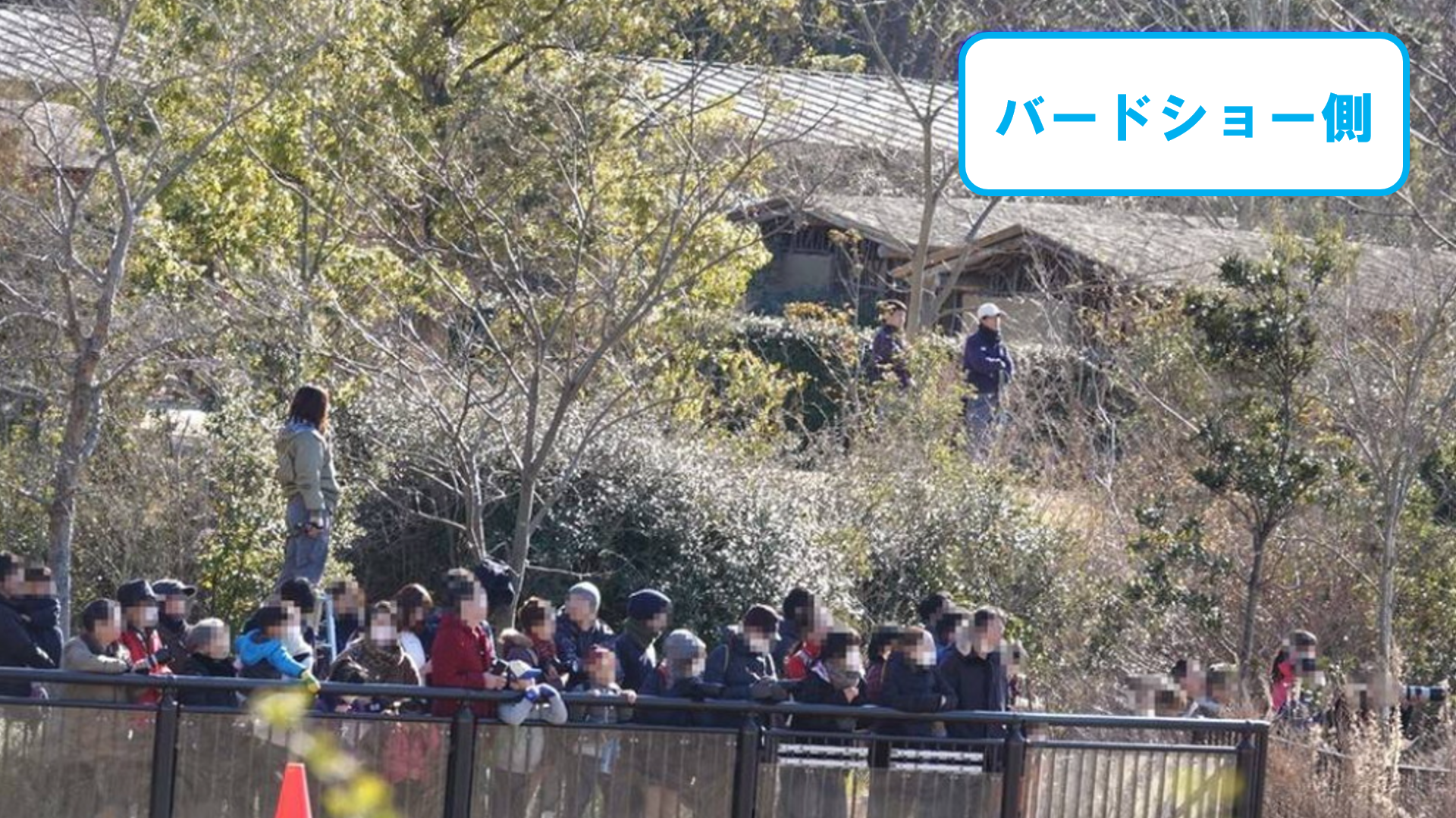 スクリーンショット (63).png