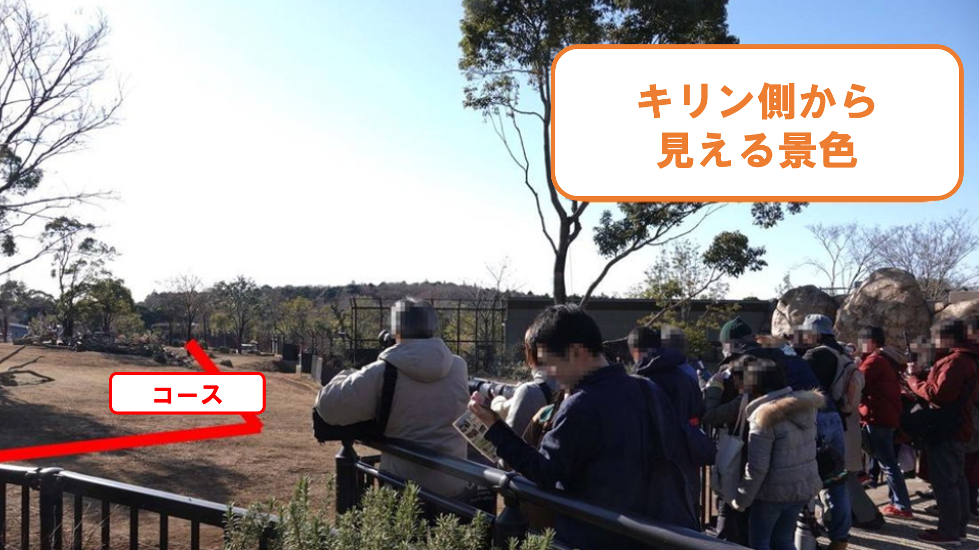 スクリーンショット (68).png