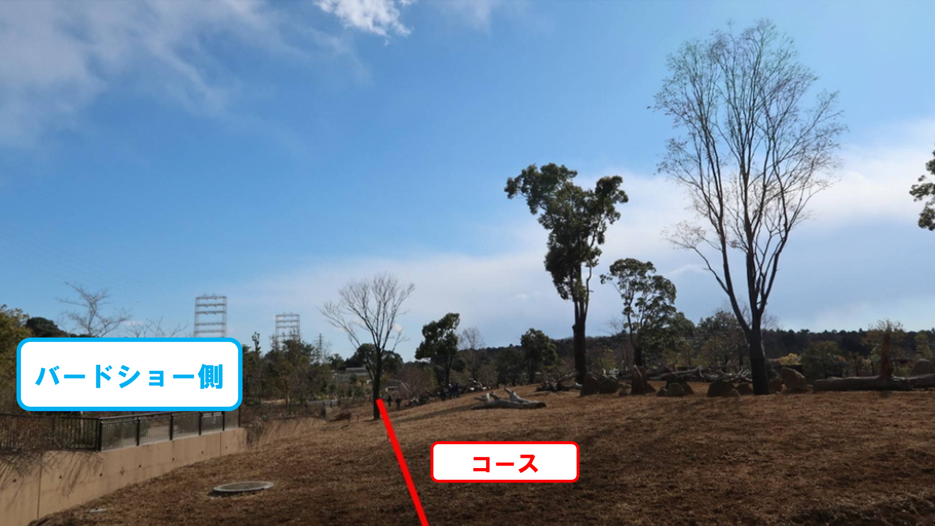 スクリーンショット (56).png