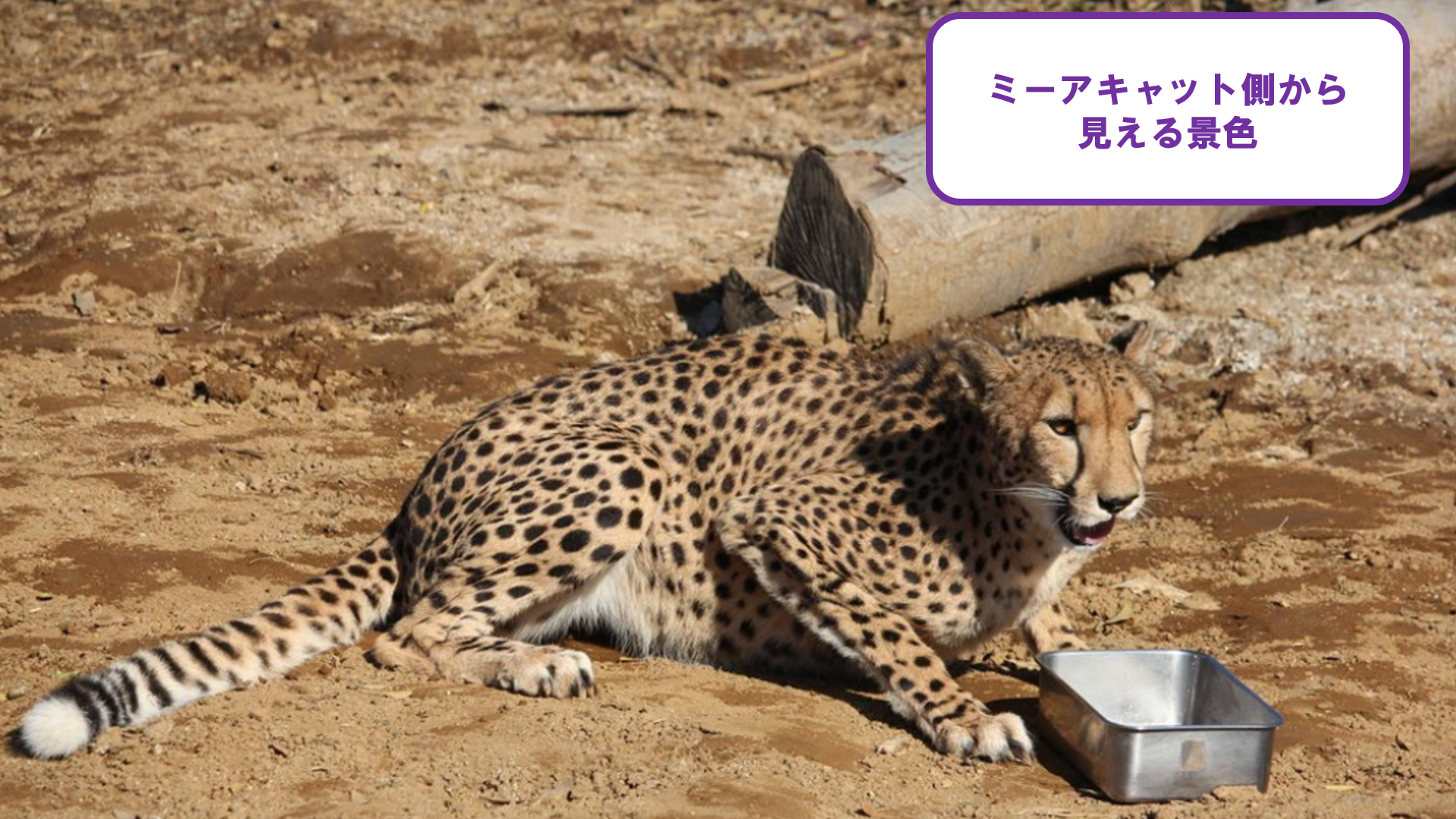 スクリーンショット (72).png