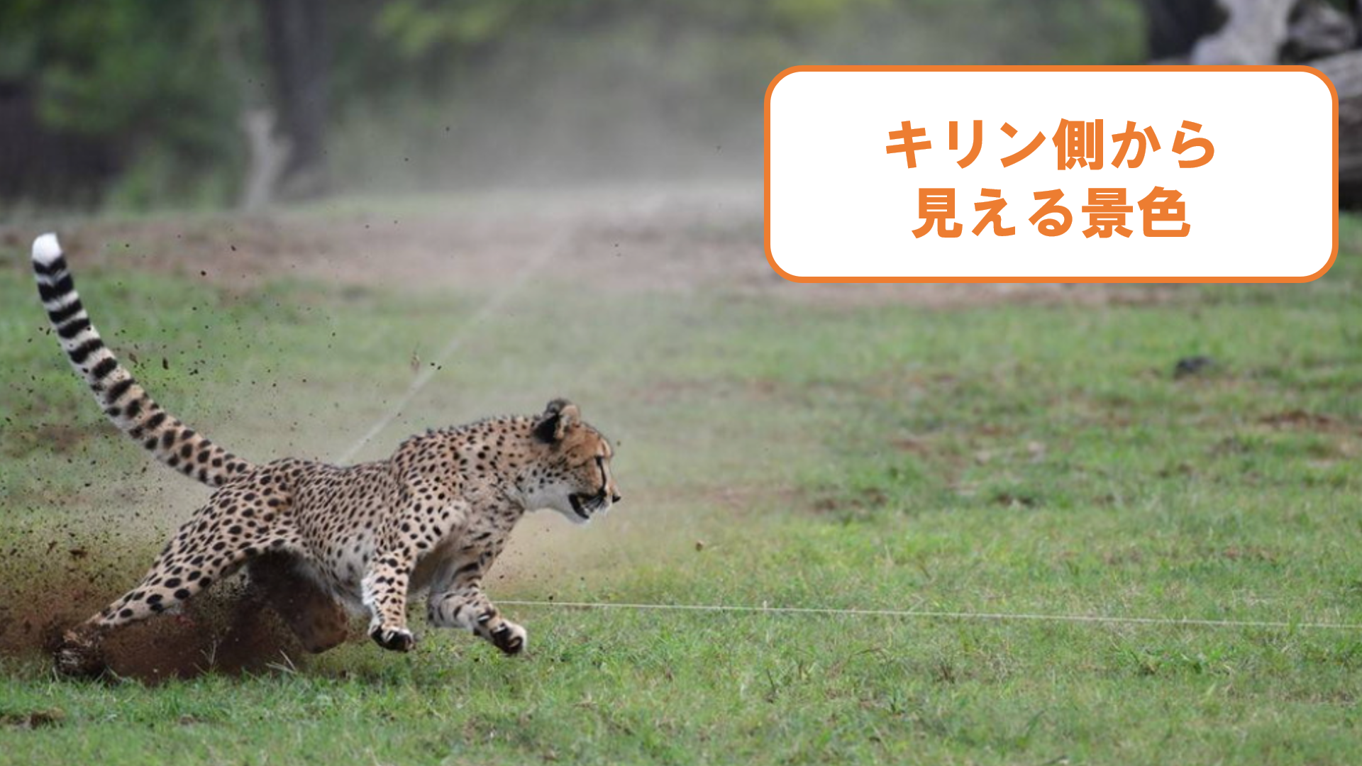 スクリーンショット (69).png