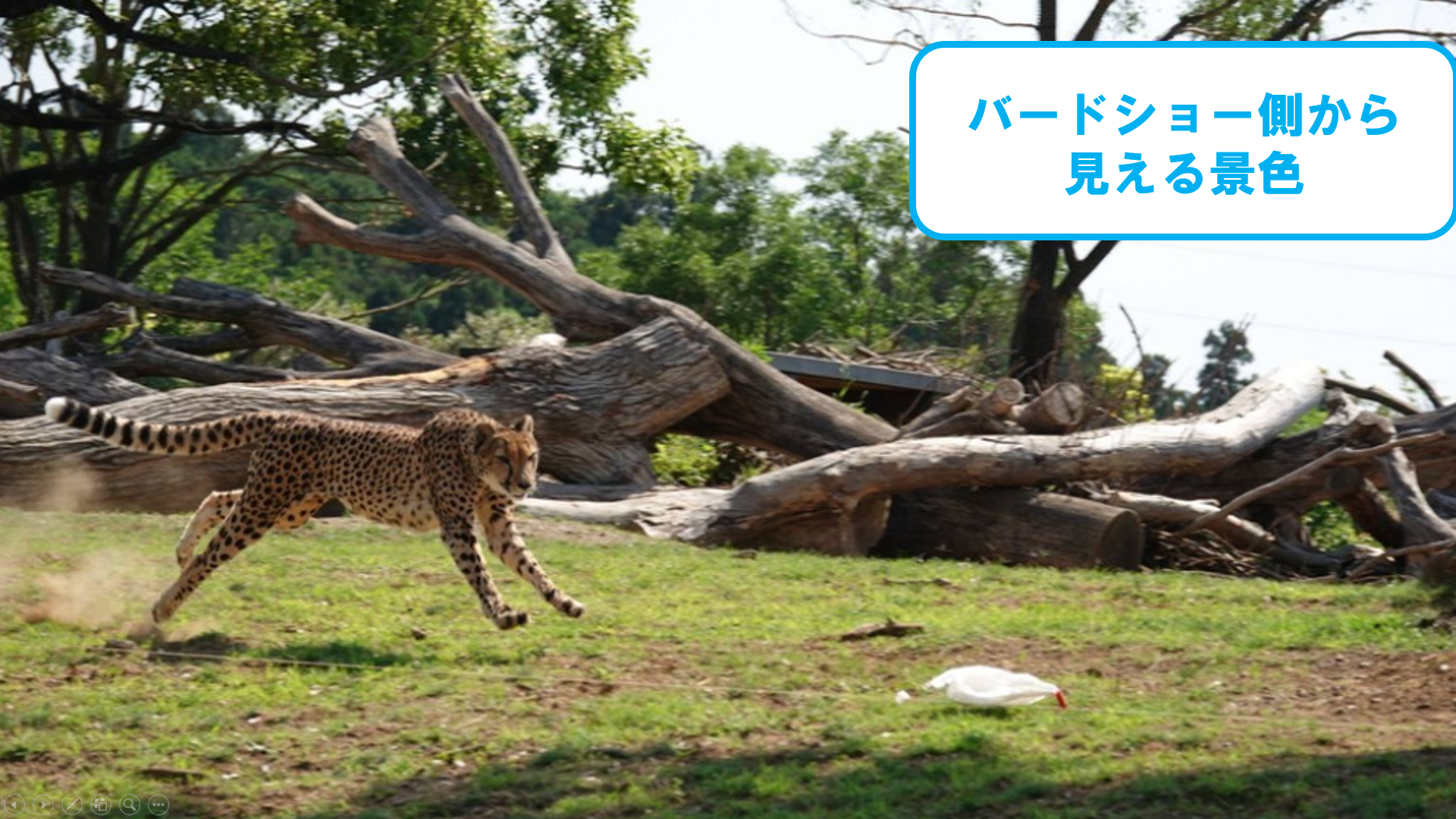 スクリーンショット (57).png