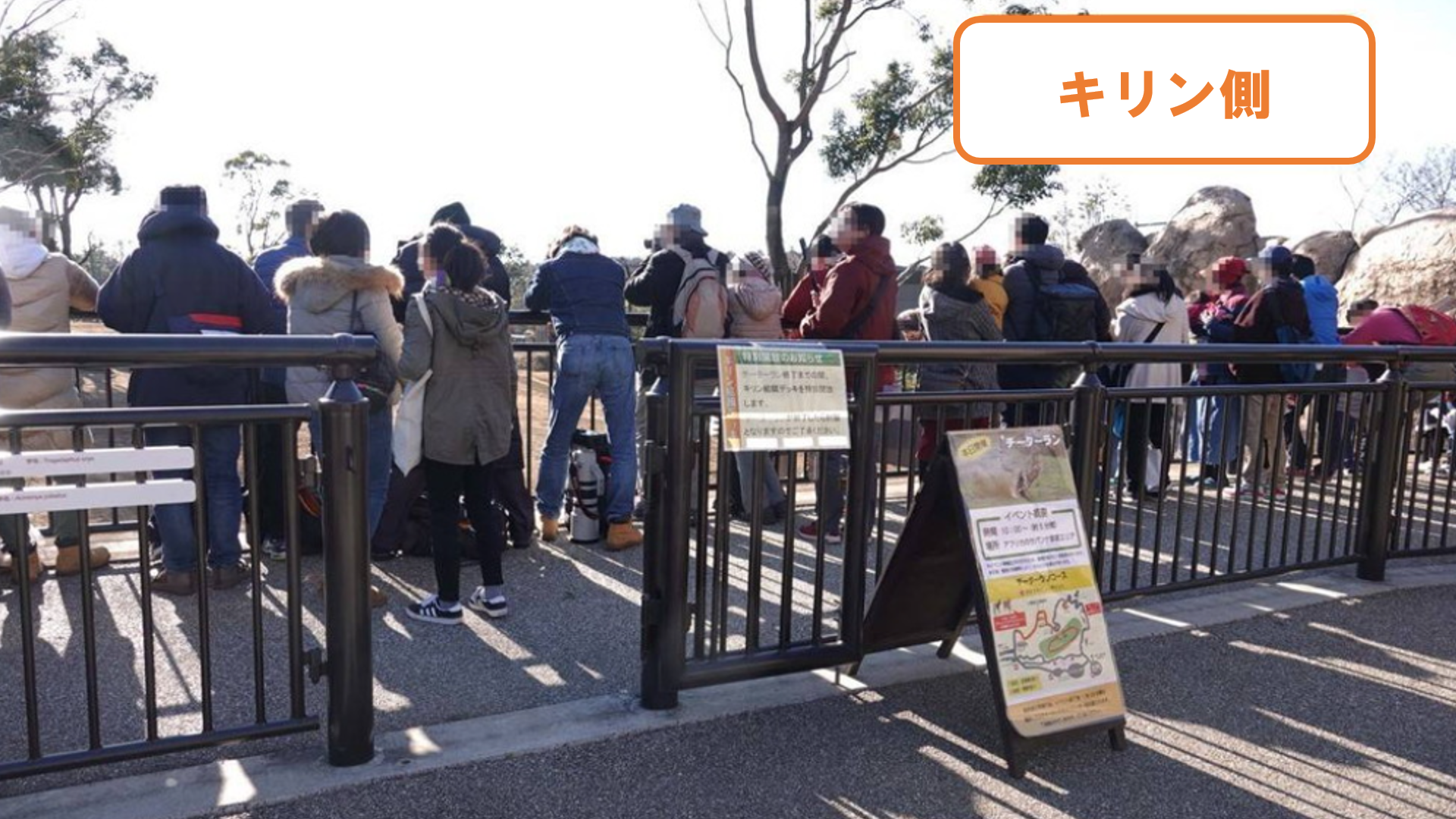 スクリーンショット (67).png