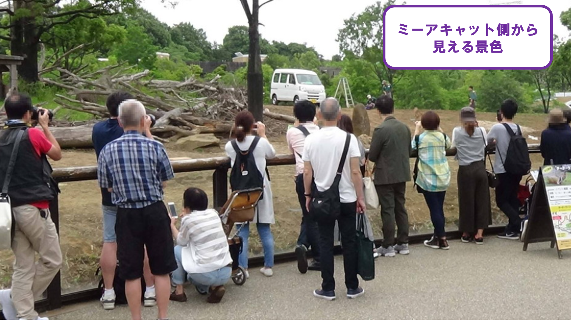 スクリーンショット (71).png