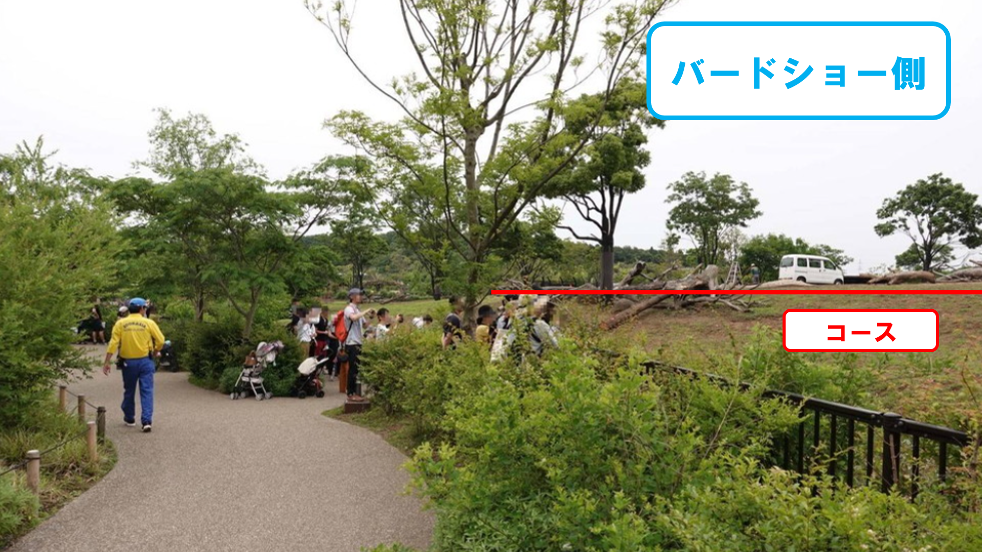 スクリーンショット (64).png