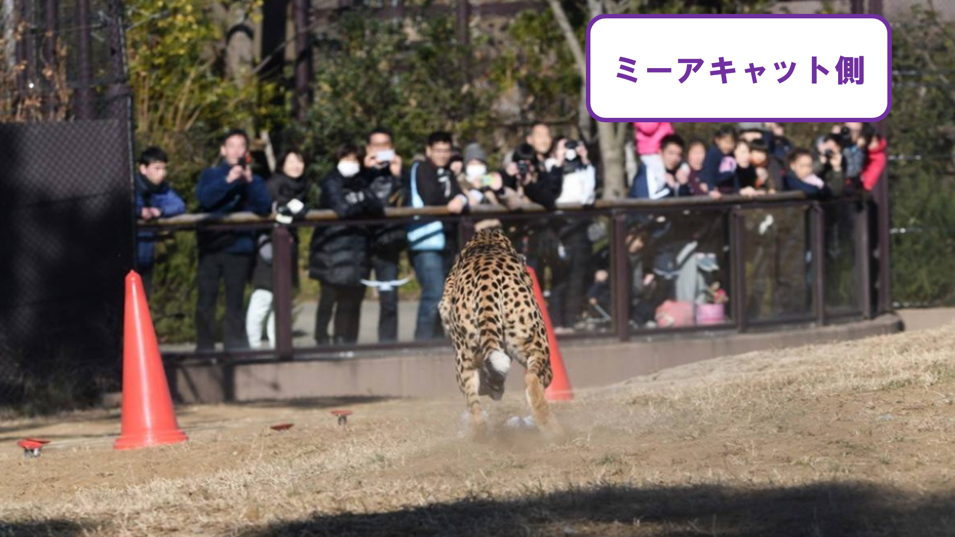 スクリーンショット (70).png