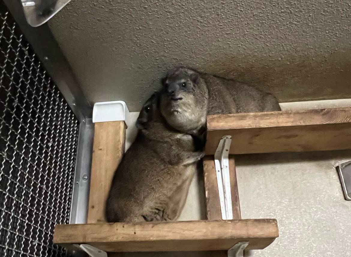 テトリス2 (2).jpg