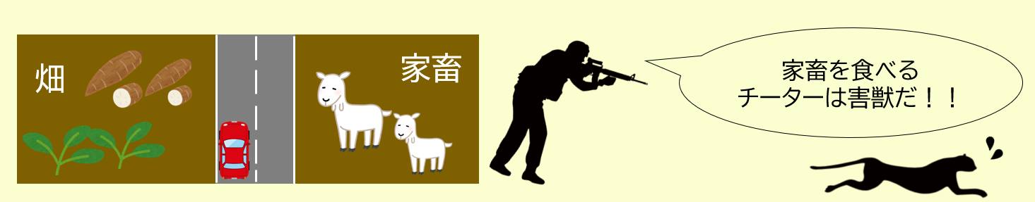 チーターを巡る問題②生息地の住民との衝突.png