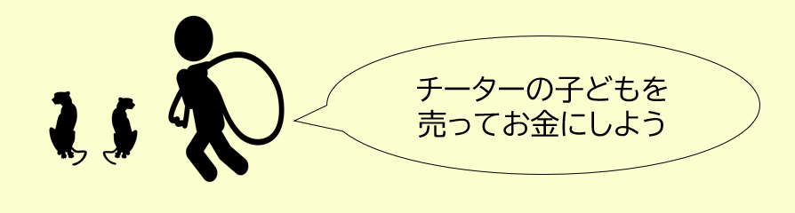 チーターを巡る問題①密猟・密輸.png