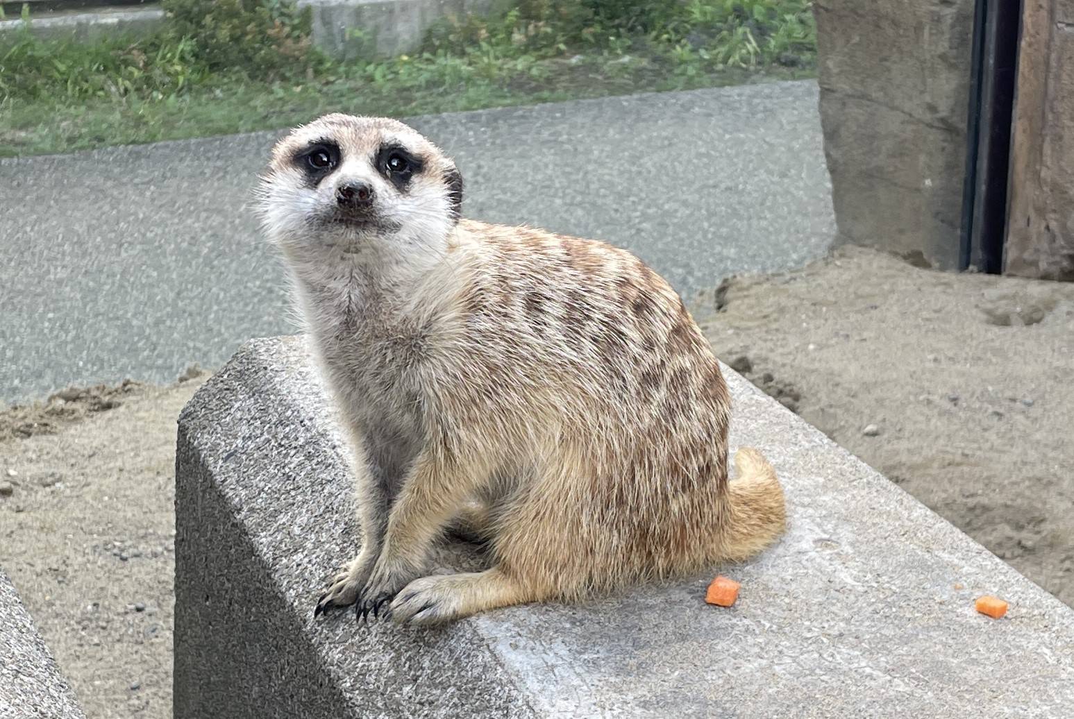 カナ お元気で.jpg