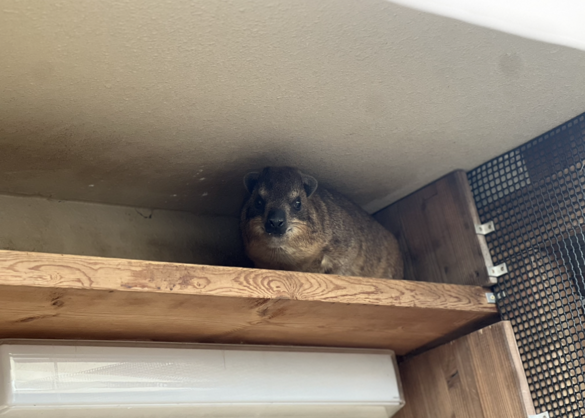 見られている...3