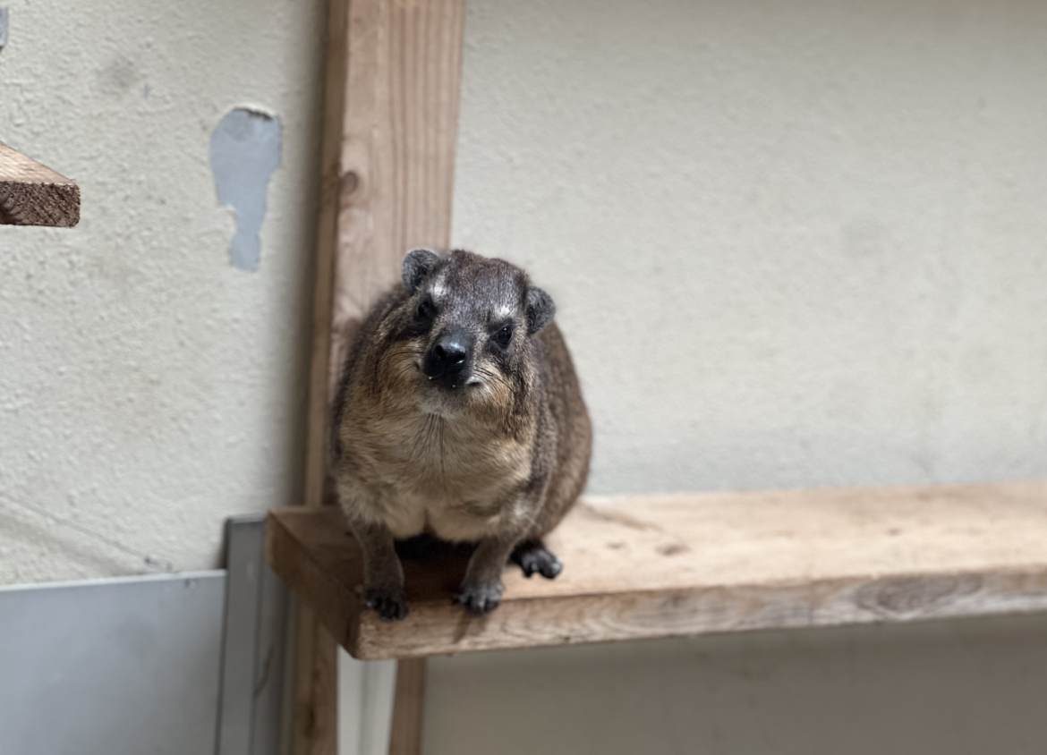 見られている...2