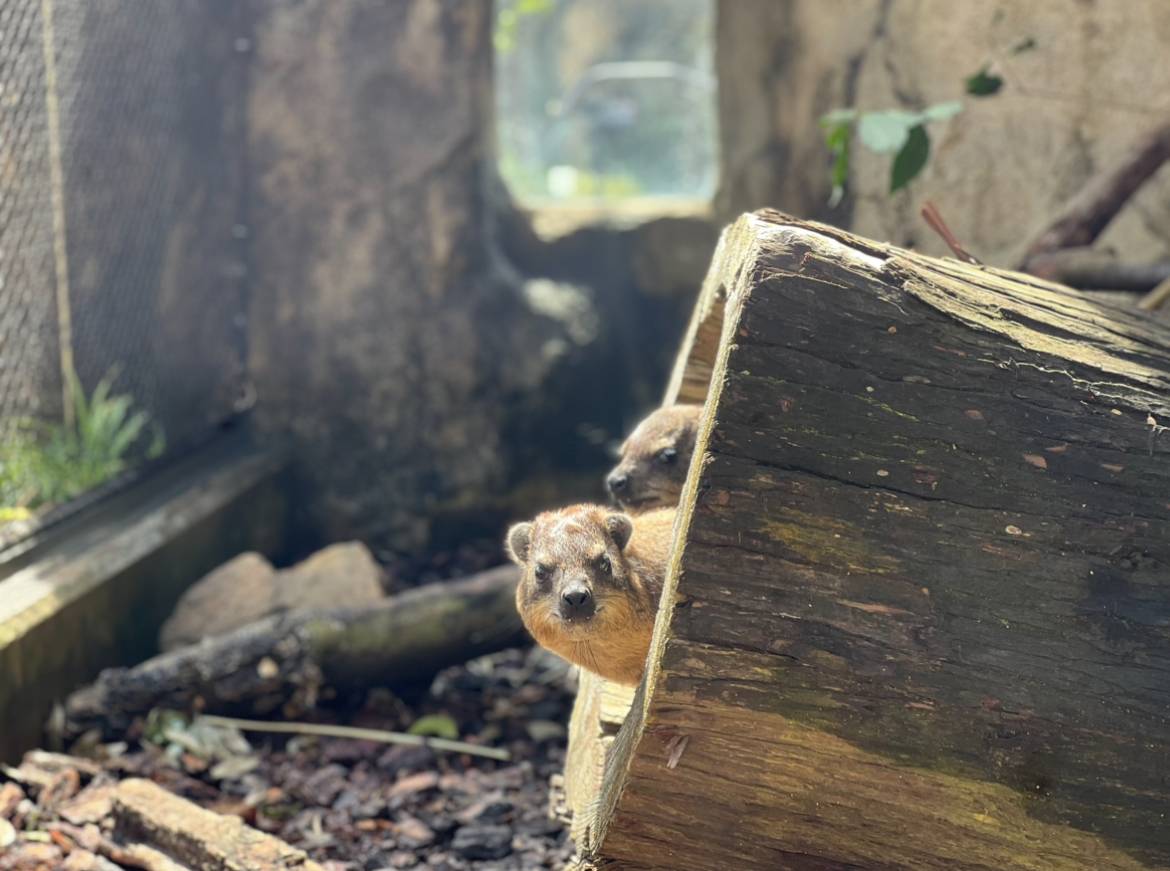 ベイクのお気に入りの場所5