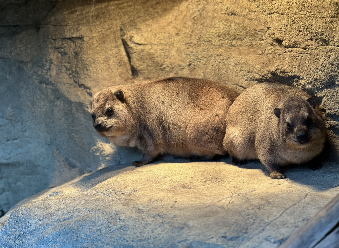 見られている...6