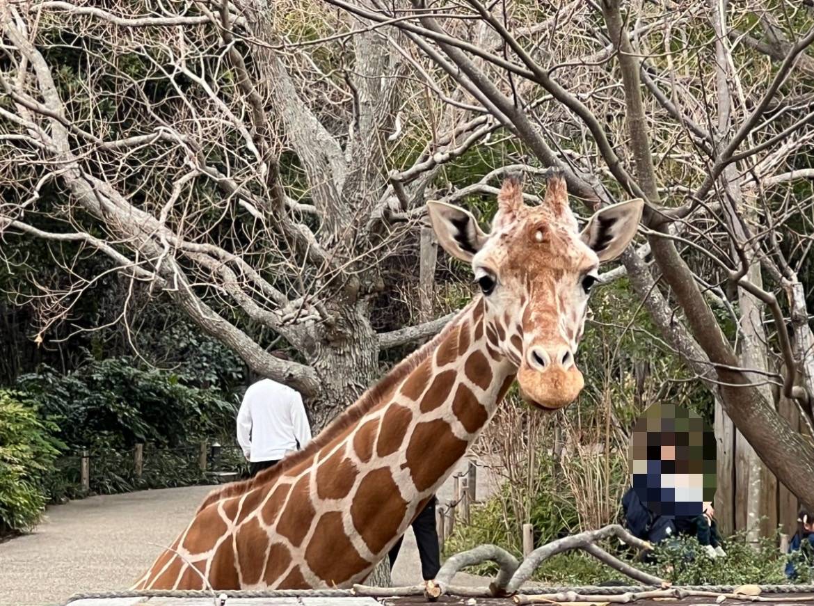 見られている...4