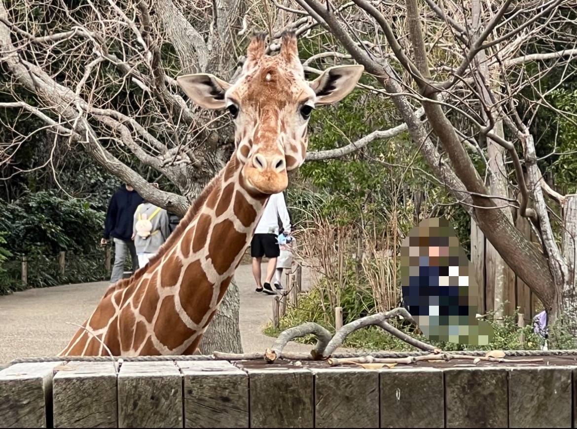 見られている...5