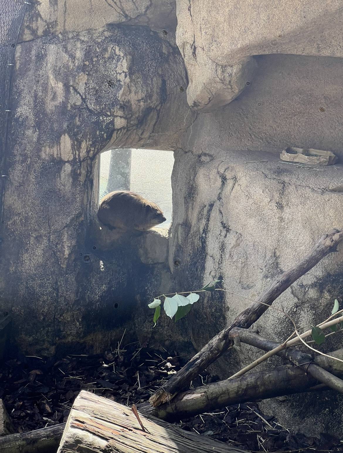 ベイクのお気に入りの場所2